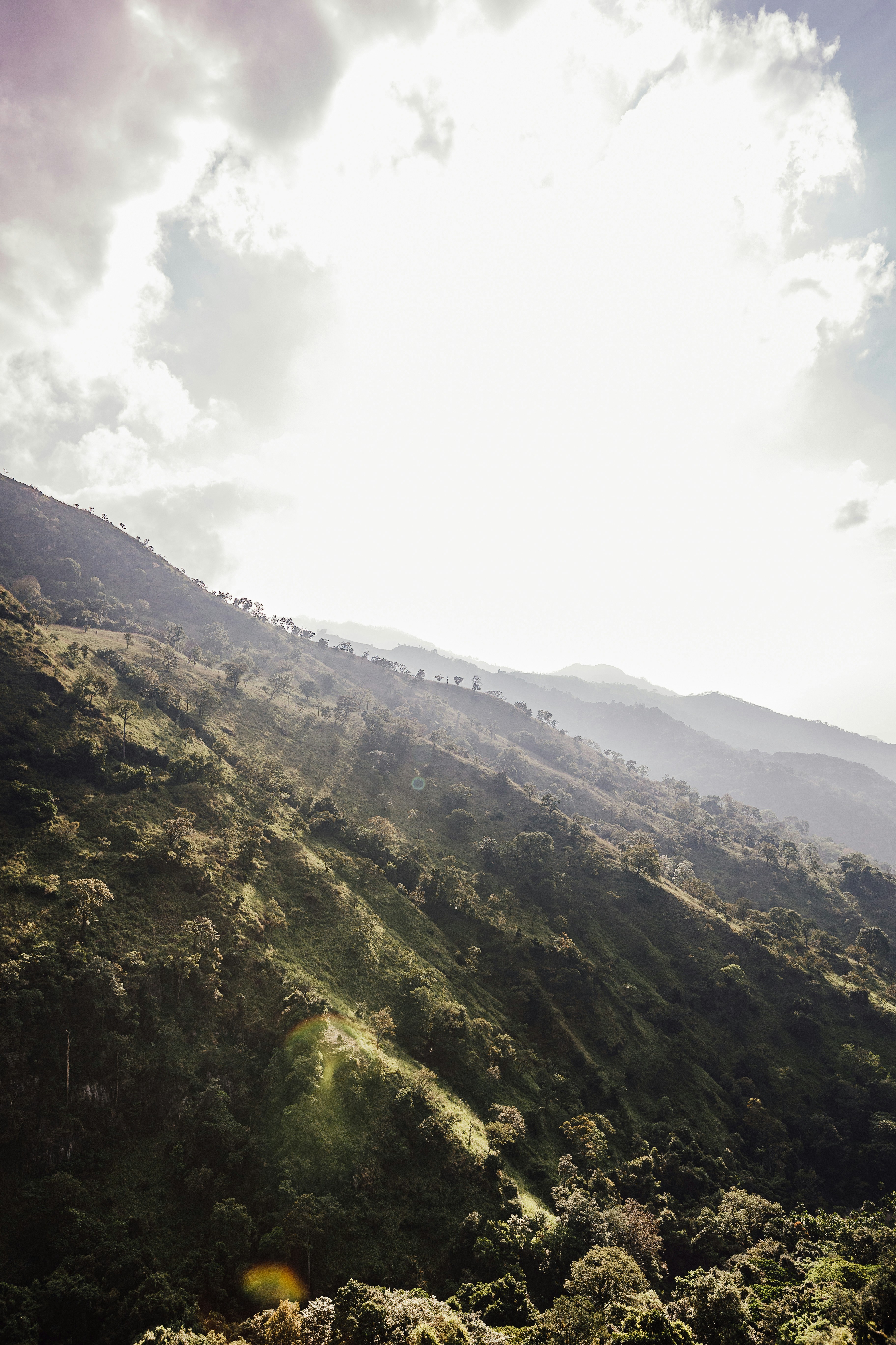 Photo by lastmanpaul