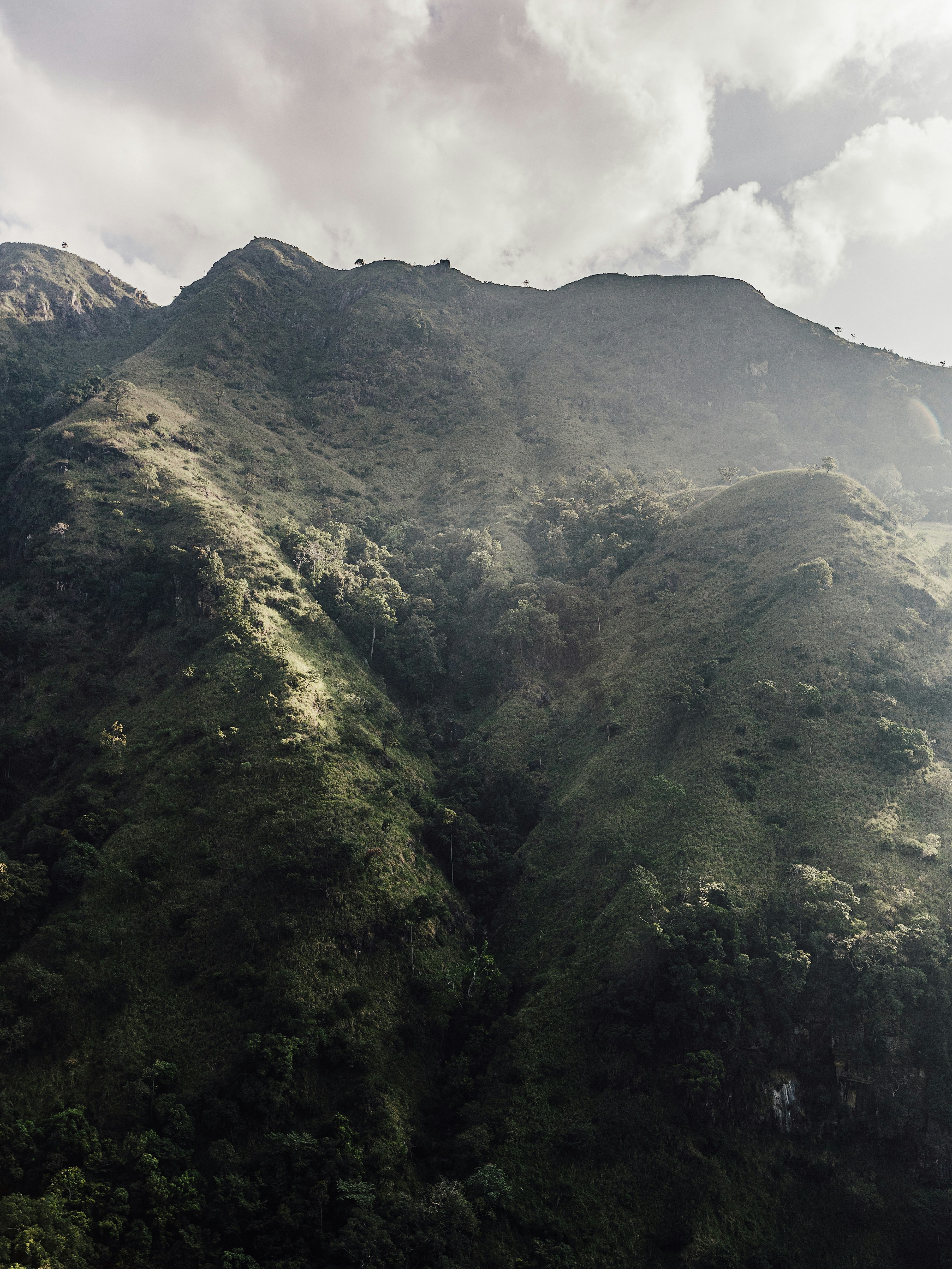 Photo by lastmanpaul