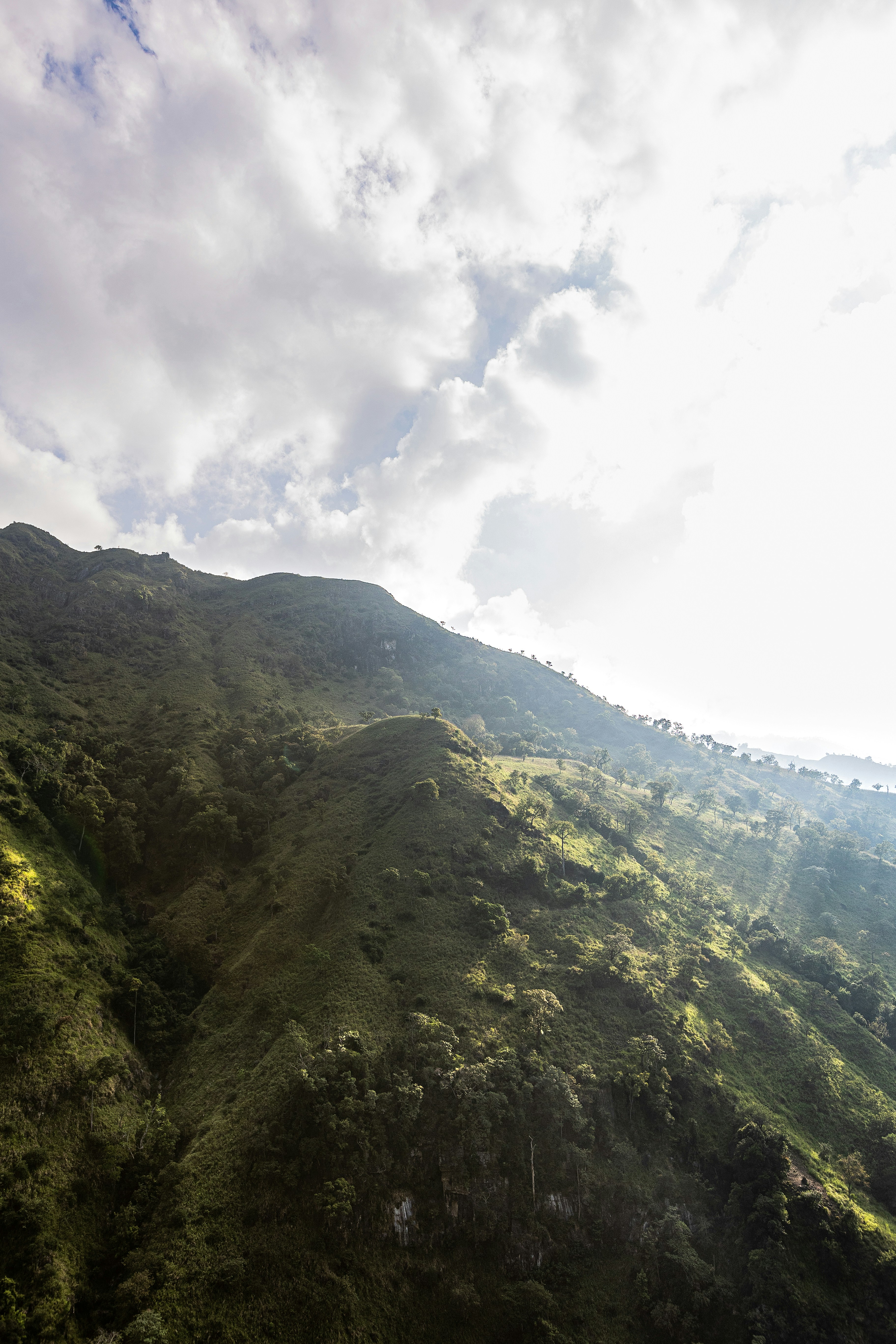 Photo by lastmanpaul