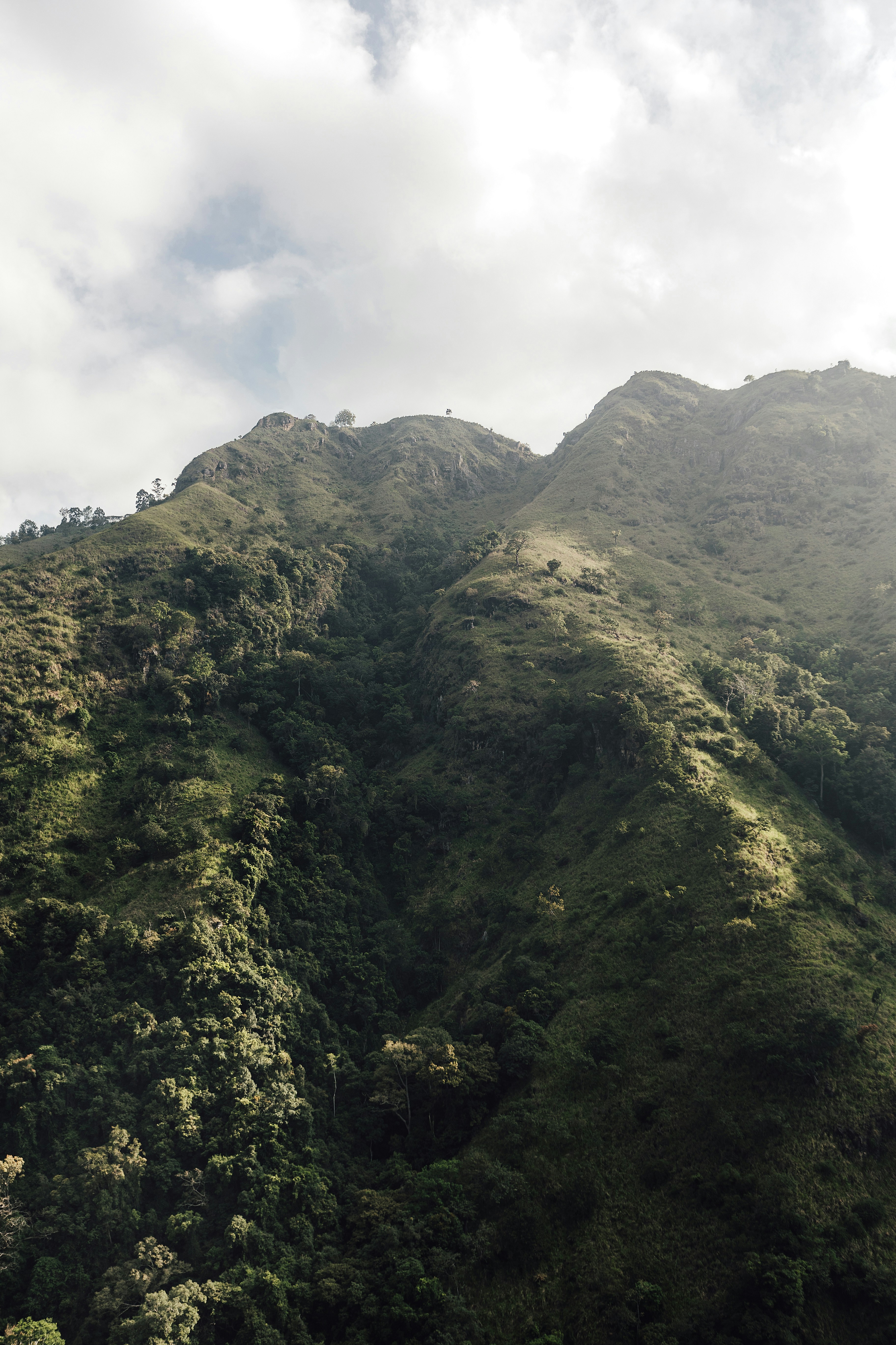 Photo by lastmanpaul