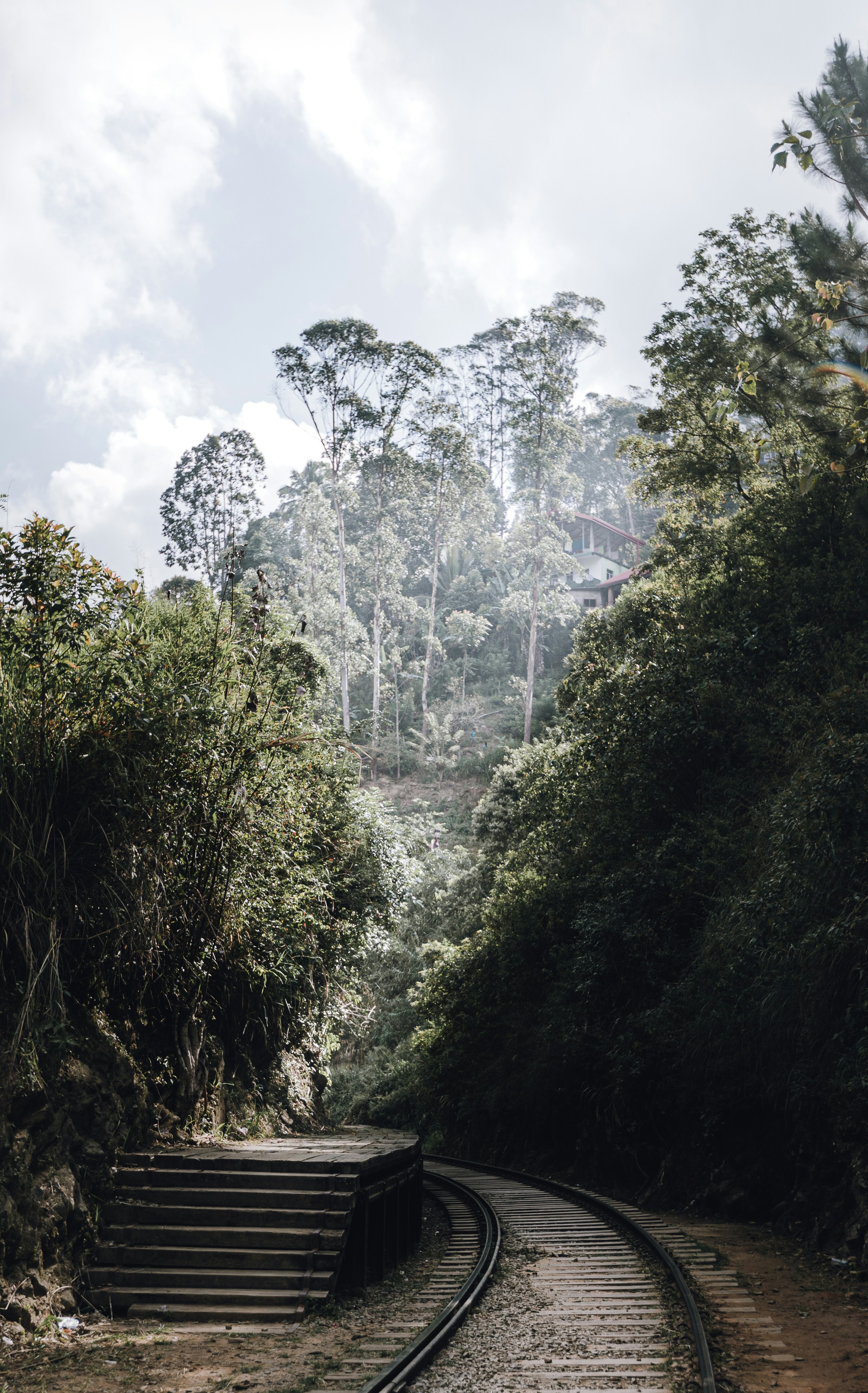 Photo by lastmanpaul