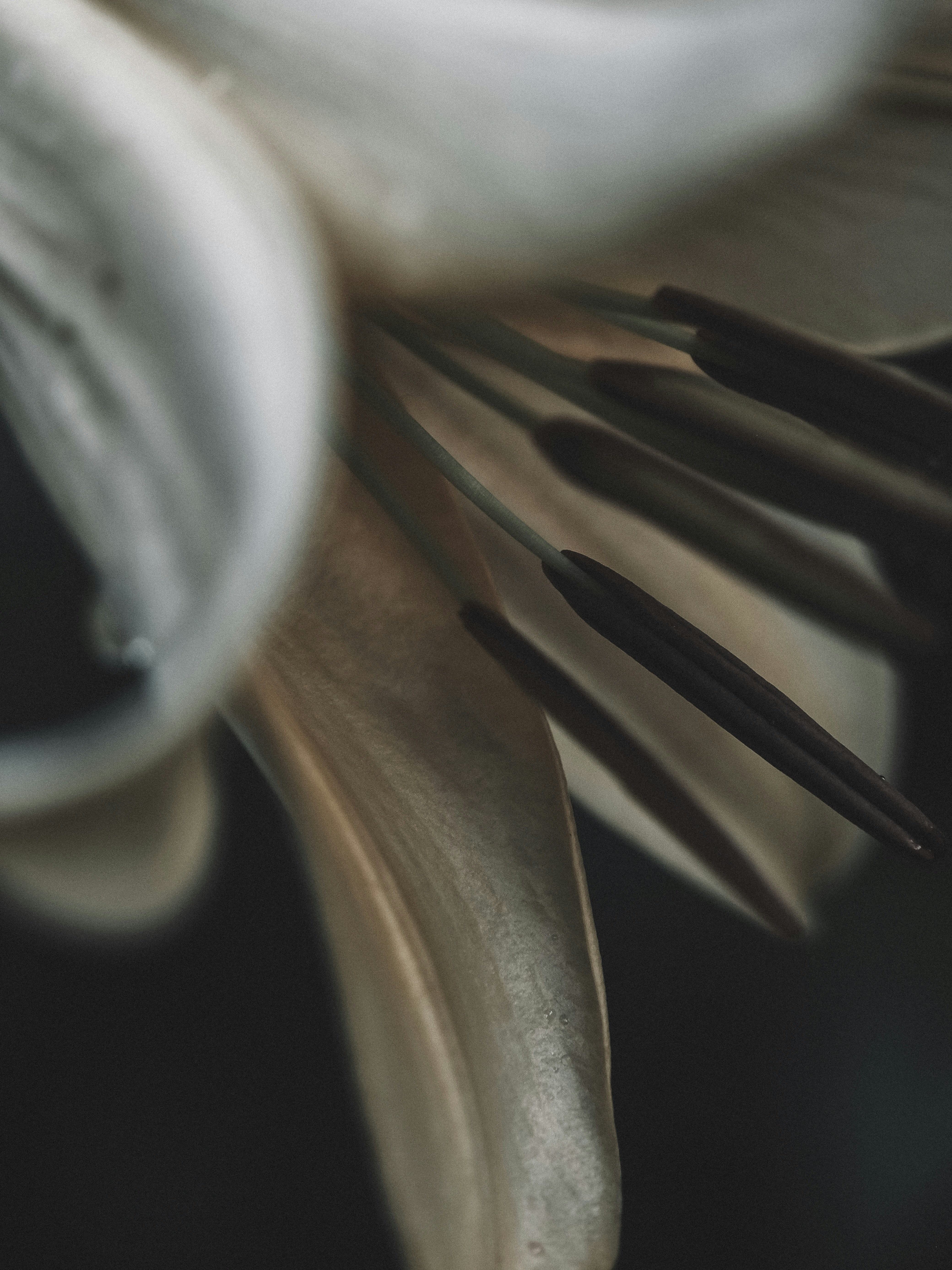 Photo by mkrawczynski