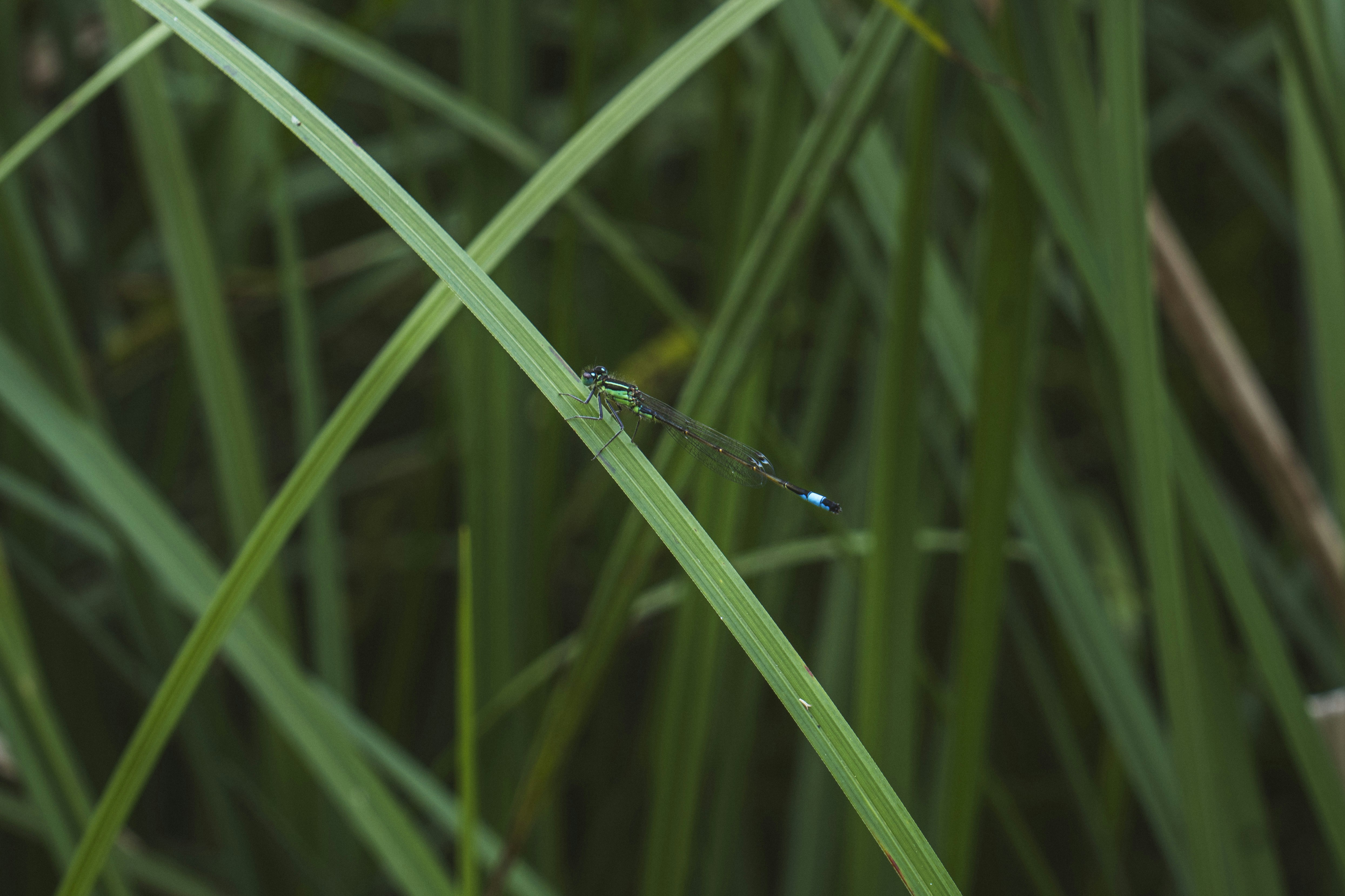 Photo by sofia_rotaru