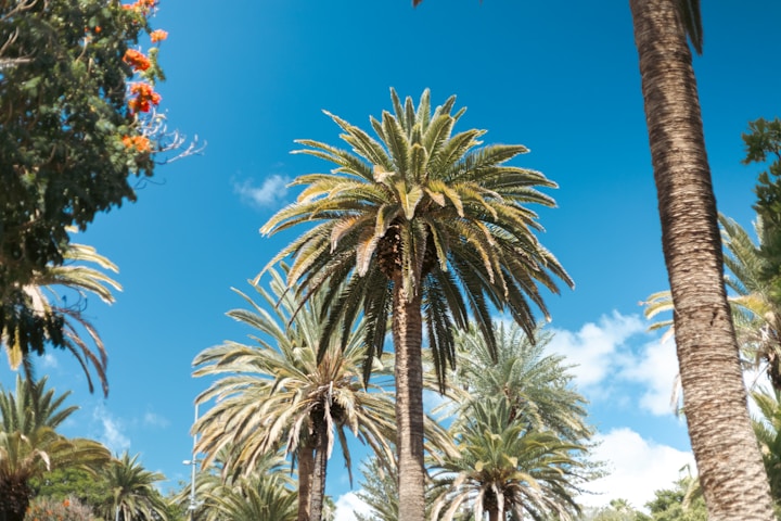 University of California Santa Cruz