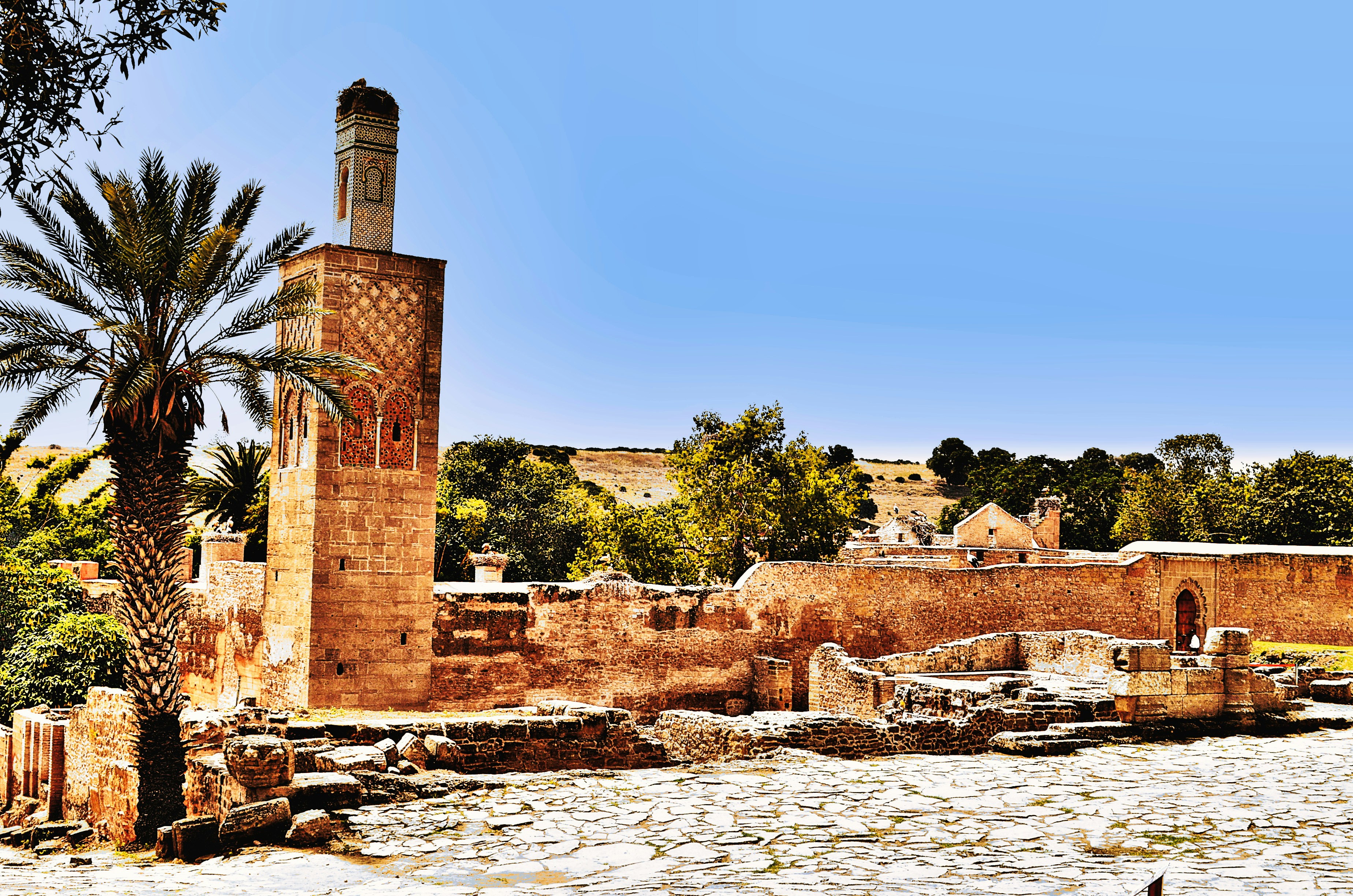 Photo by soufiane_photo_focus