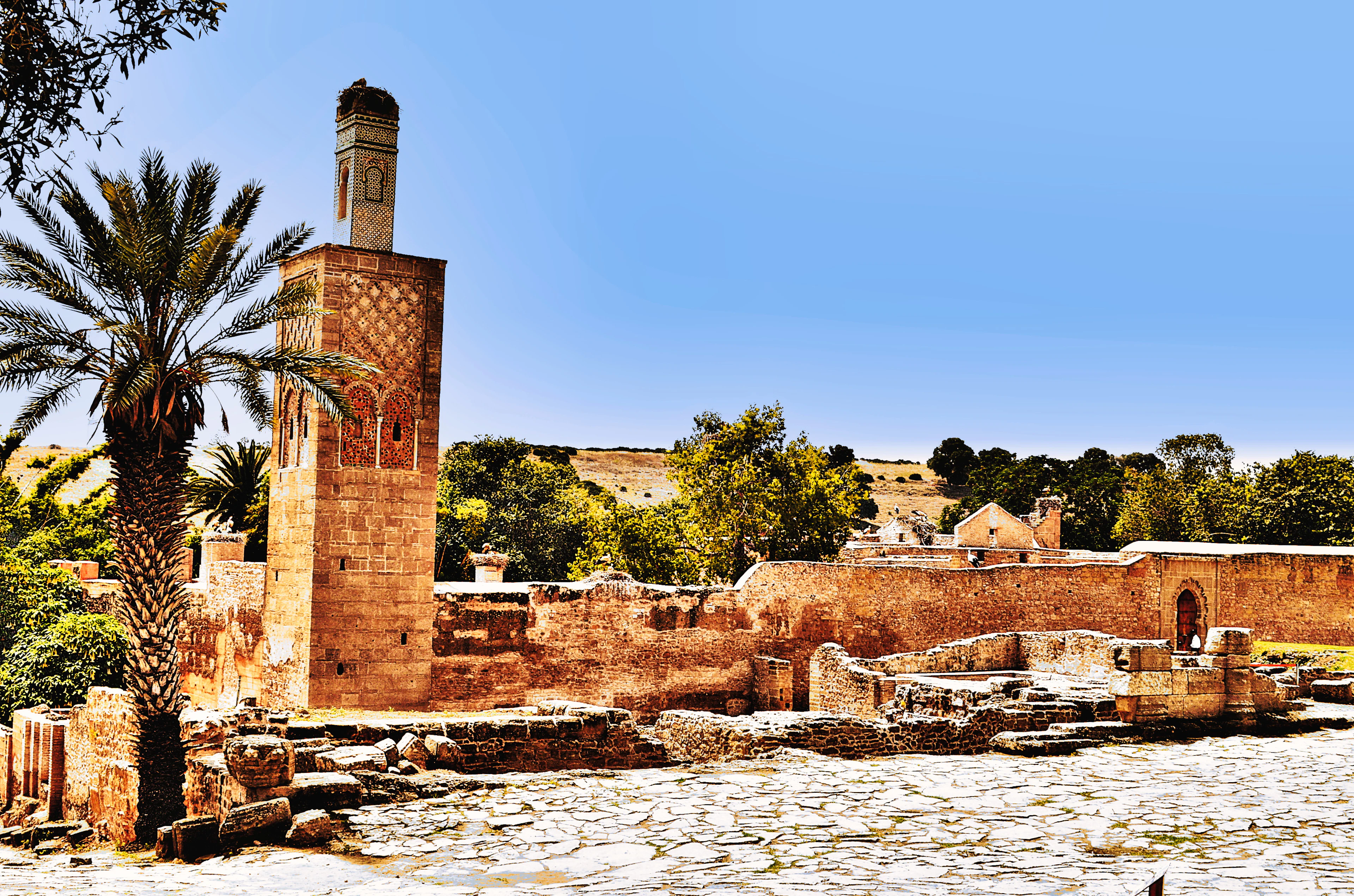 The ruins of the Chellah in Rabat: a minaret topped by a stork's nest, a palm tree and old walls
