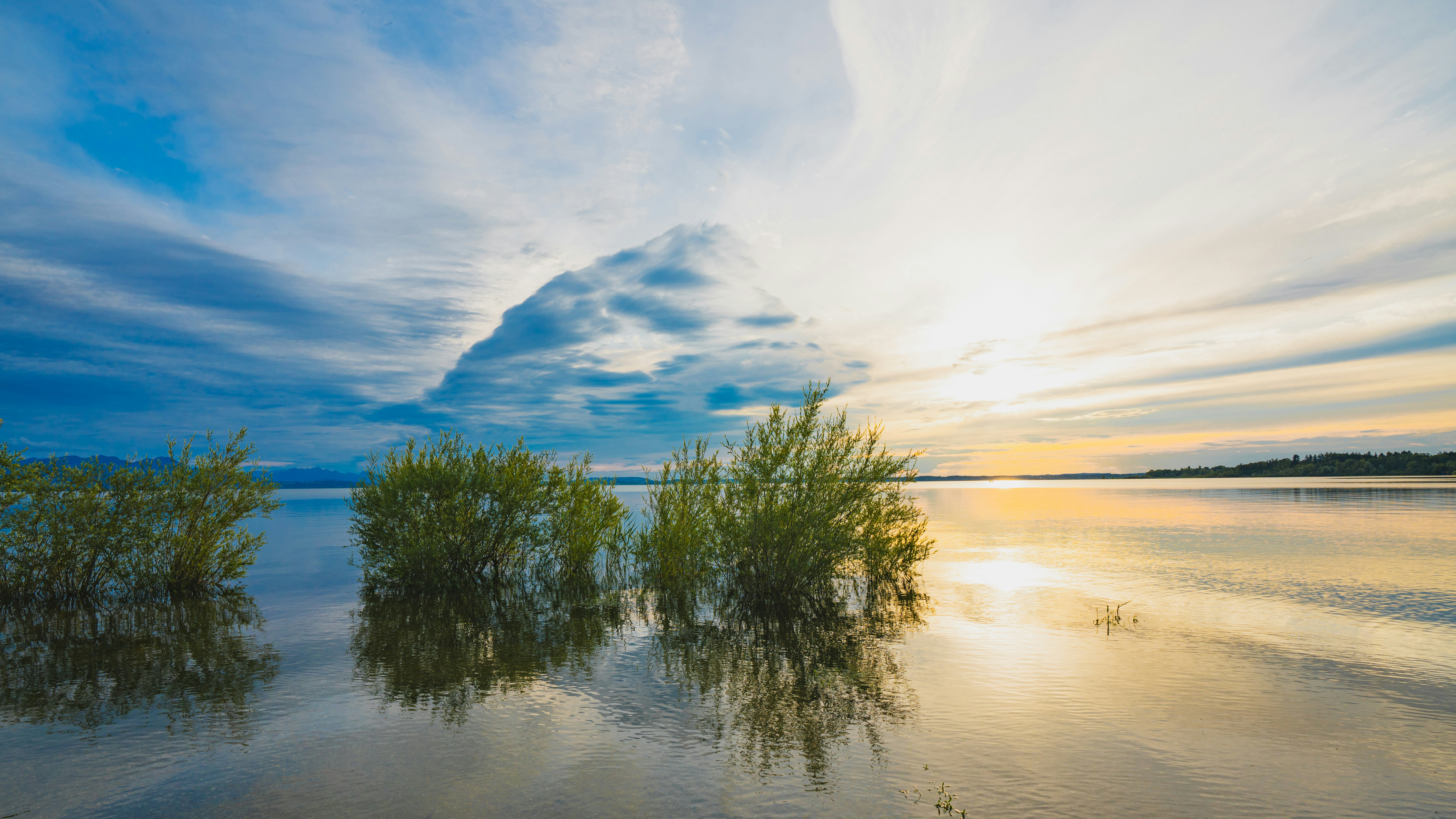 Photo by christelsphotos