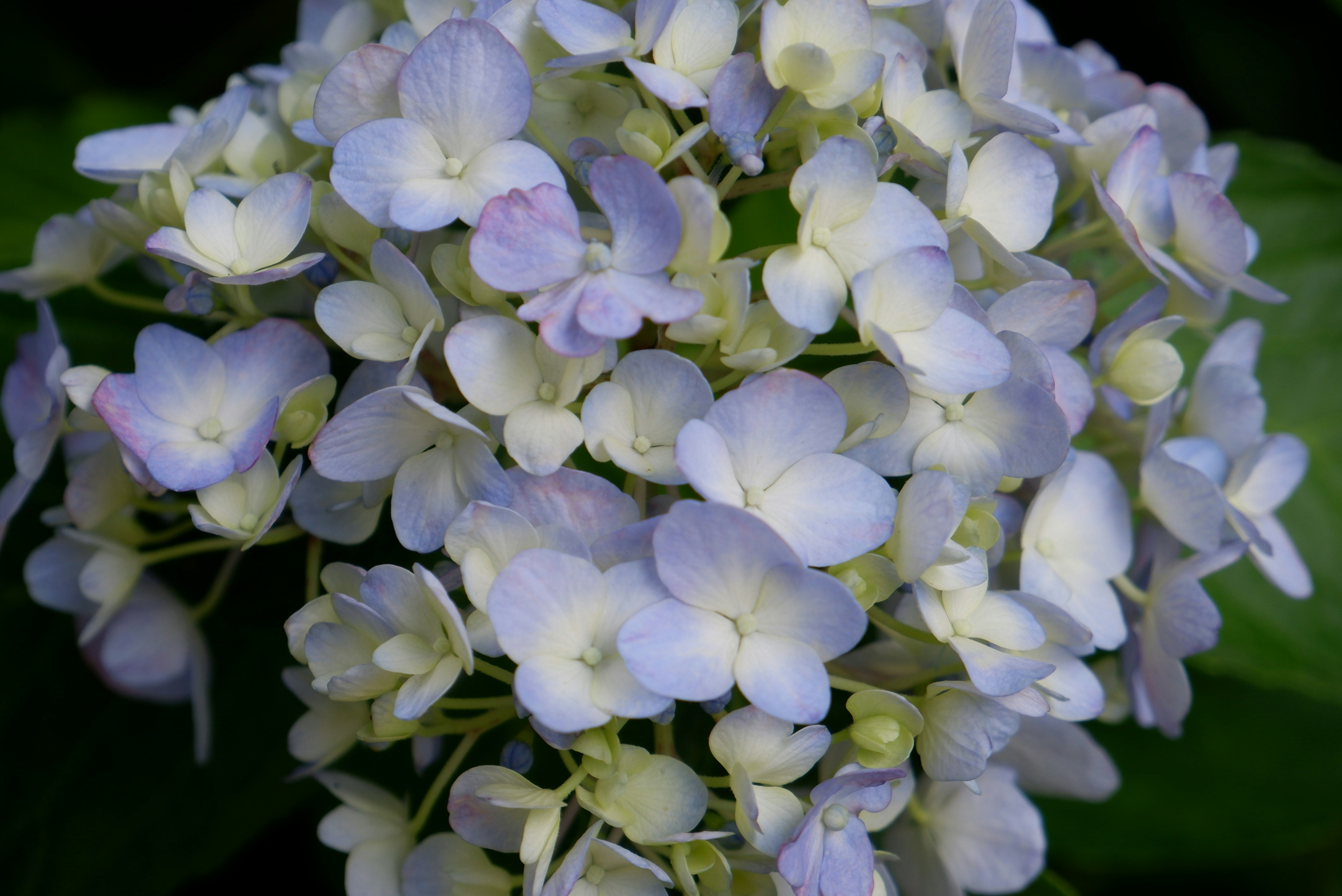 Photo by 365_new_chances