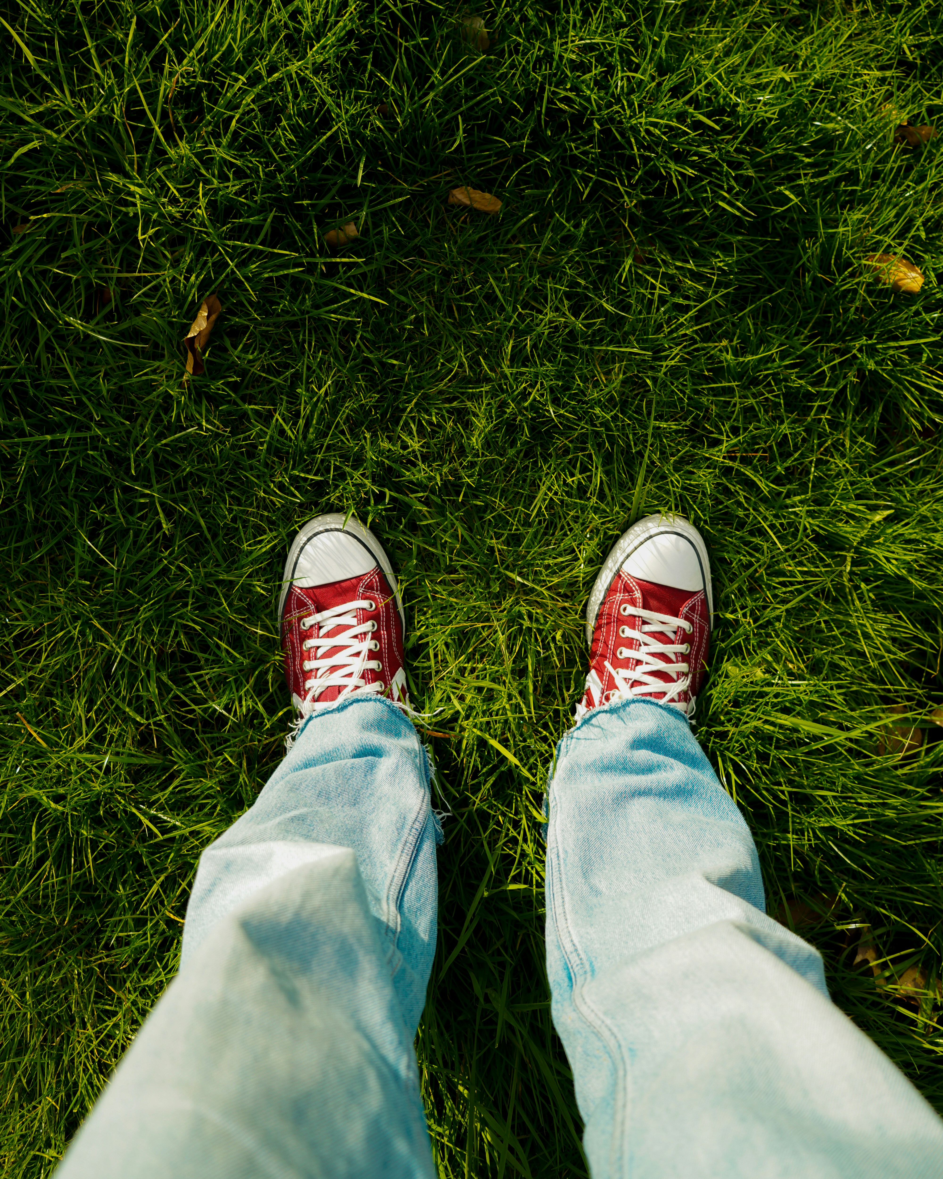 A person standing on top of a lush green field