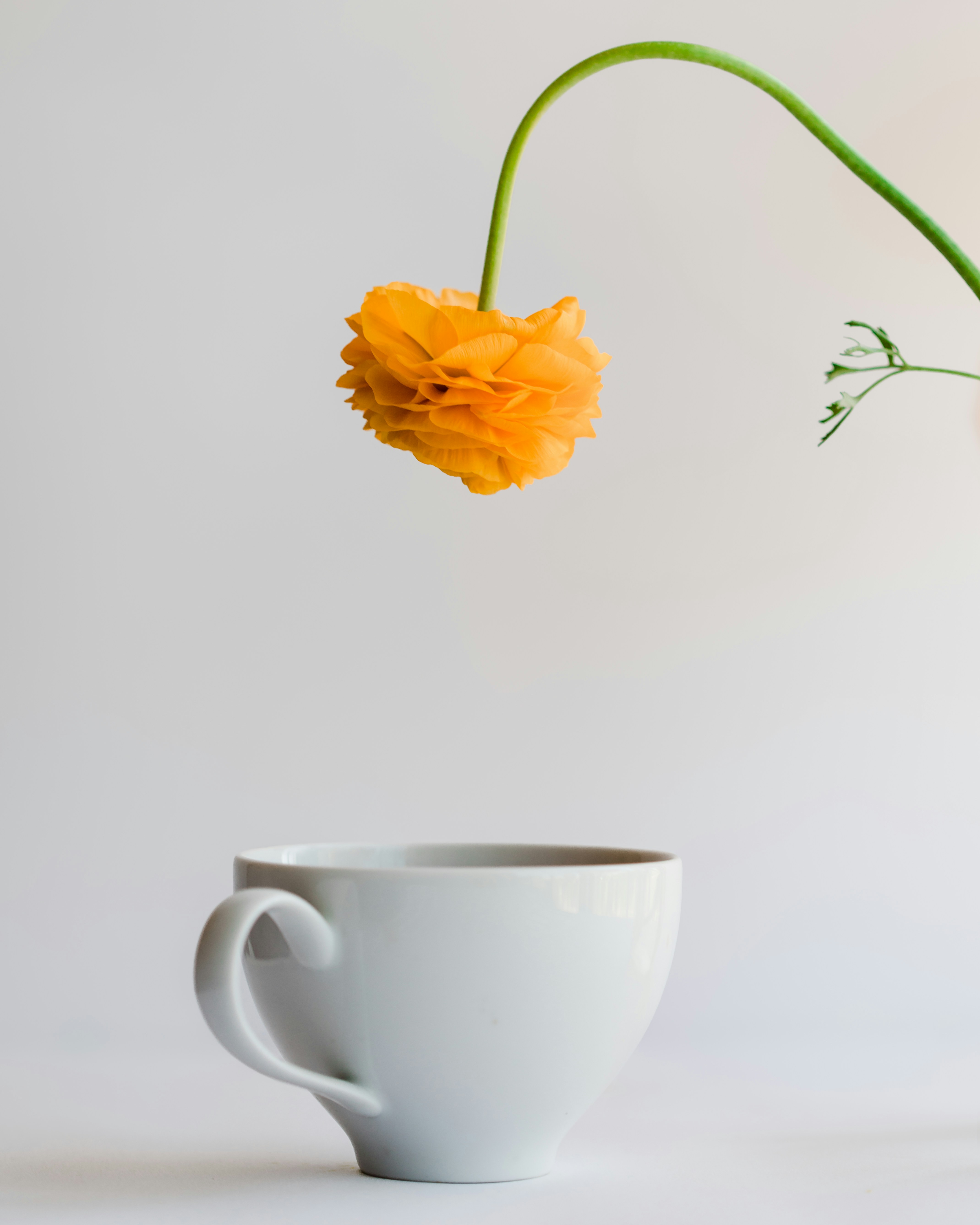 Photo by sixteenmilesout