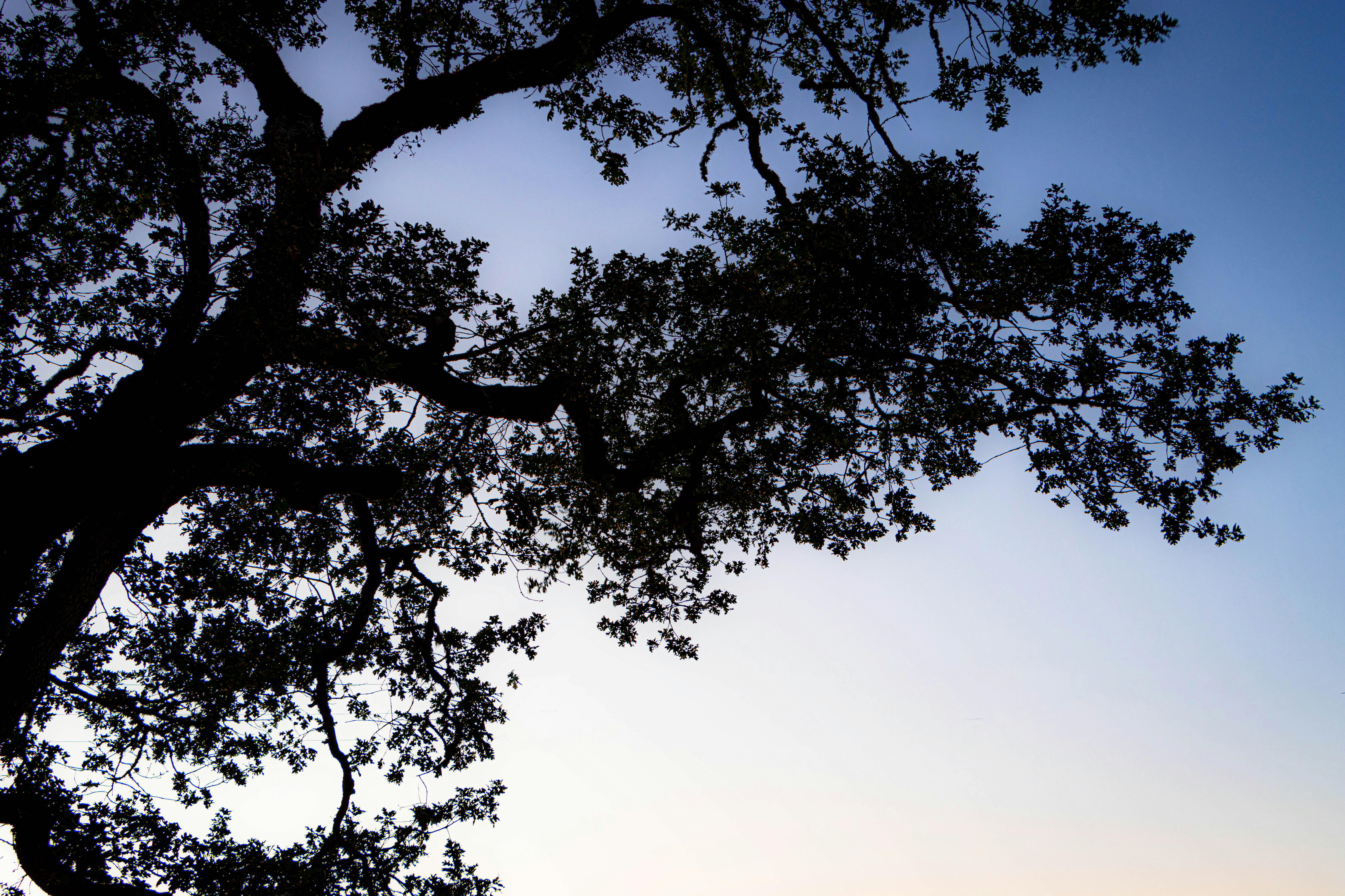 Photo by davidjboozer