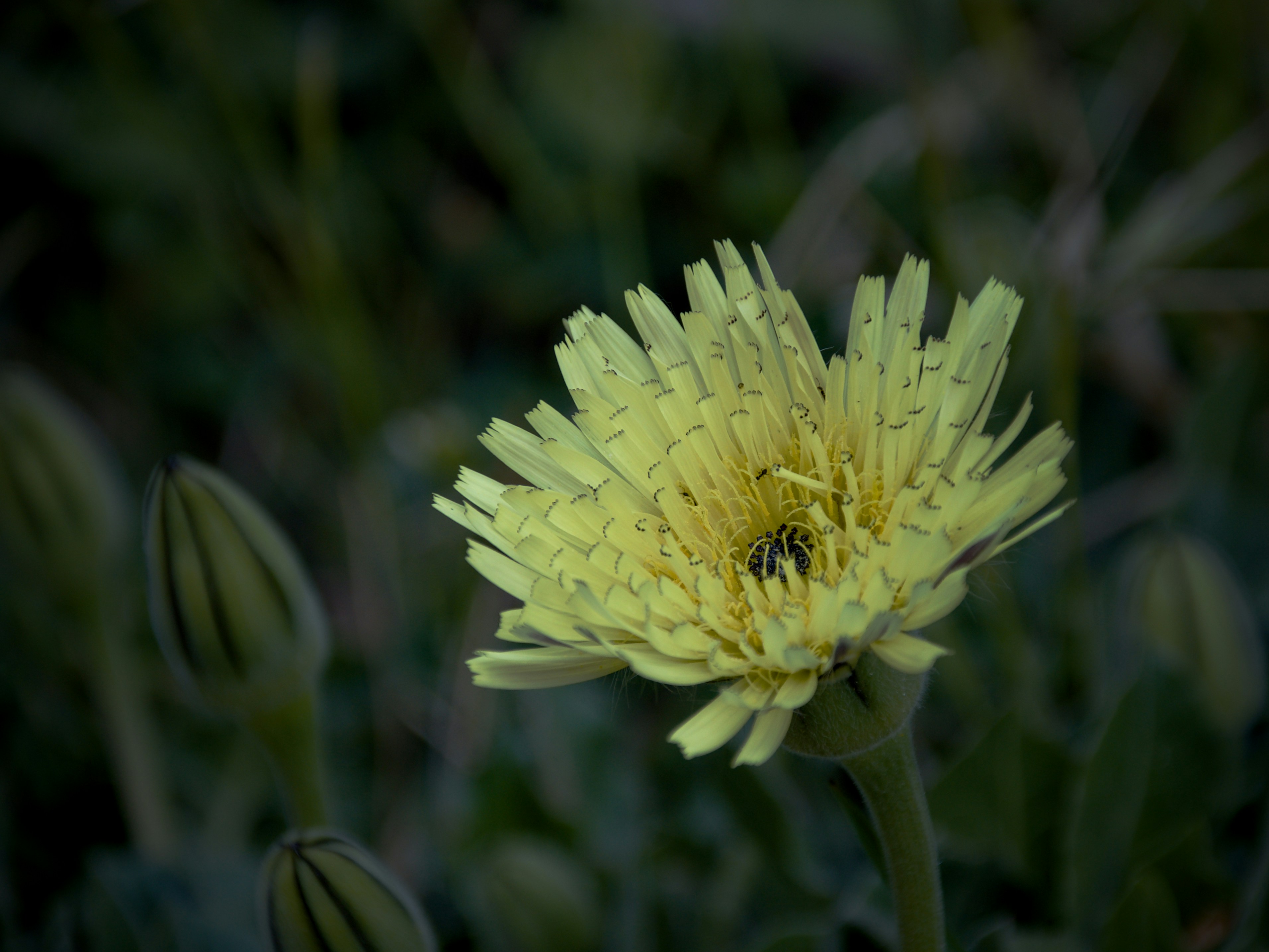 Photo by mariobeducci