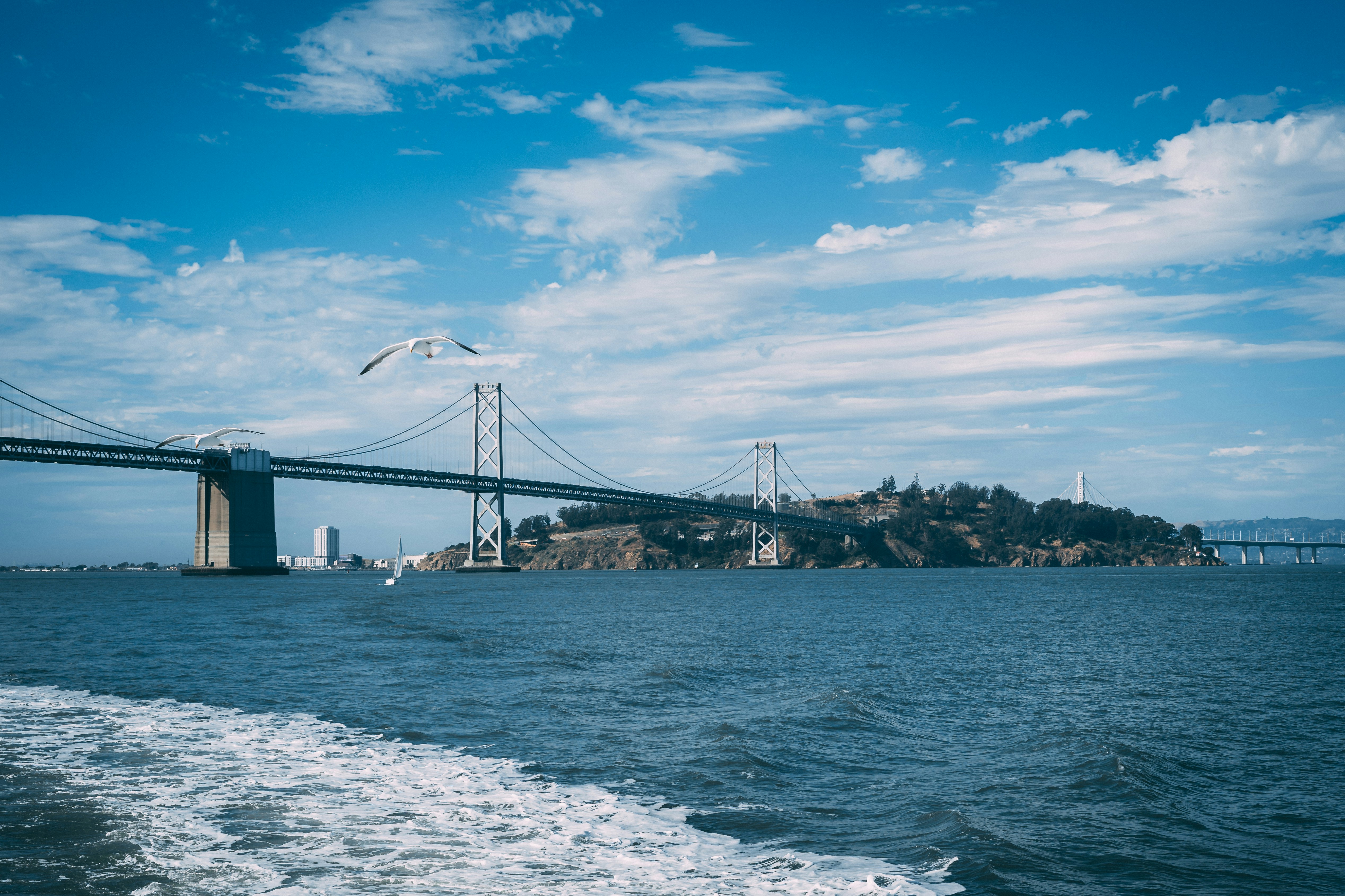 Photo by frommontreal