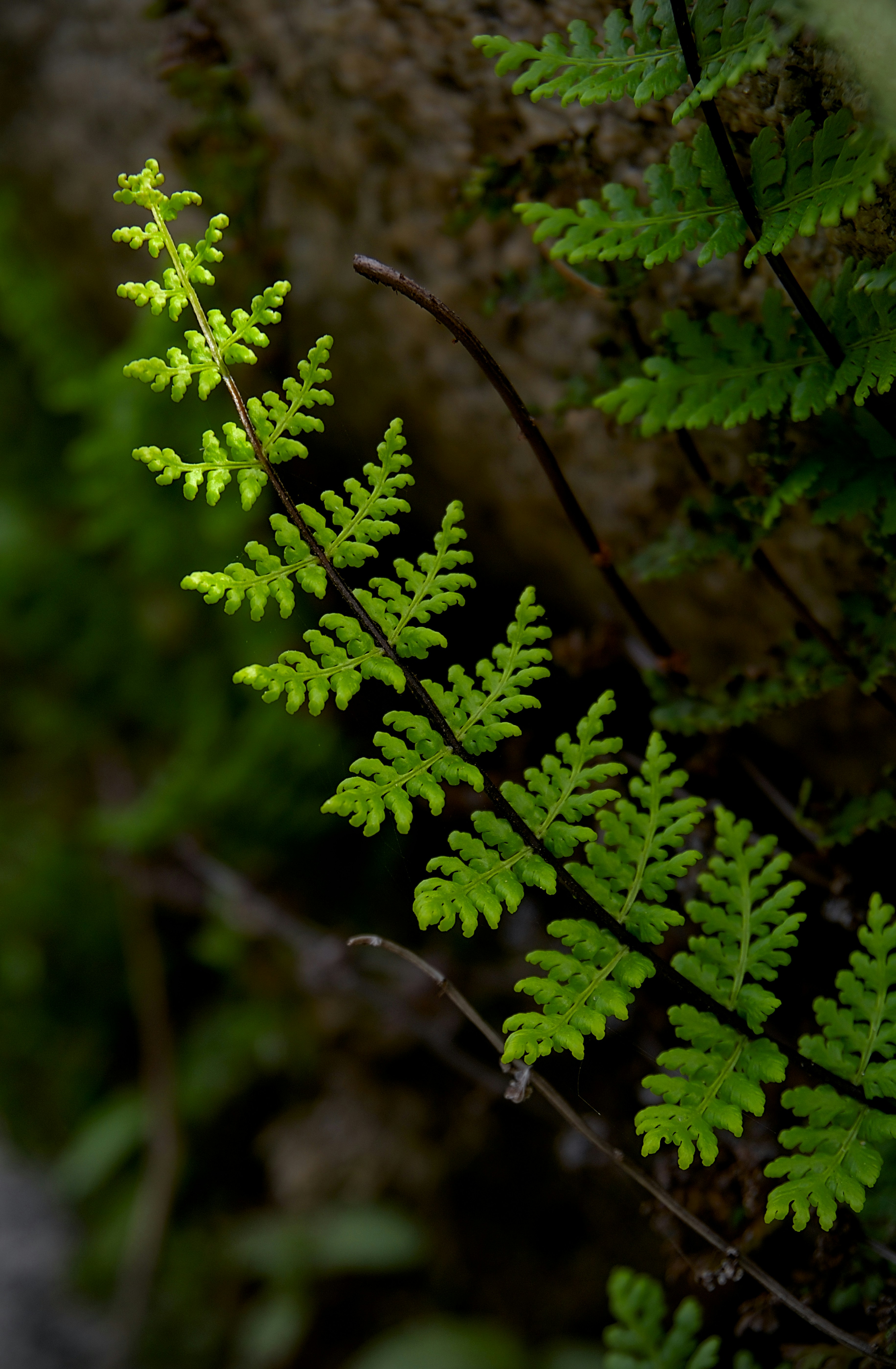 Photo by raja_clicks