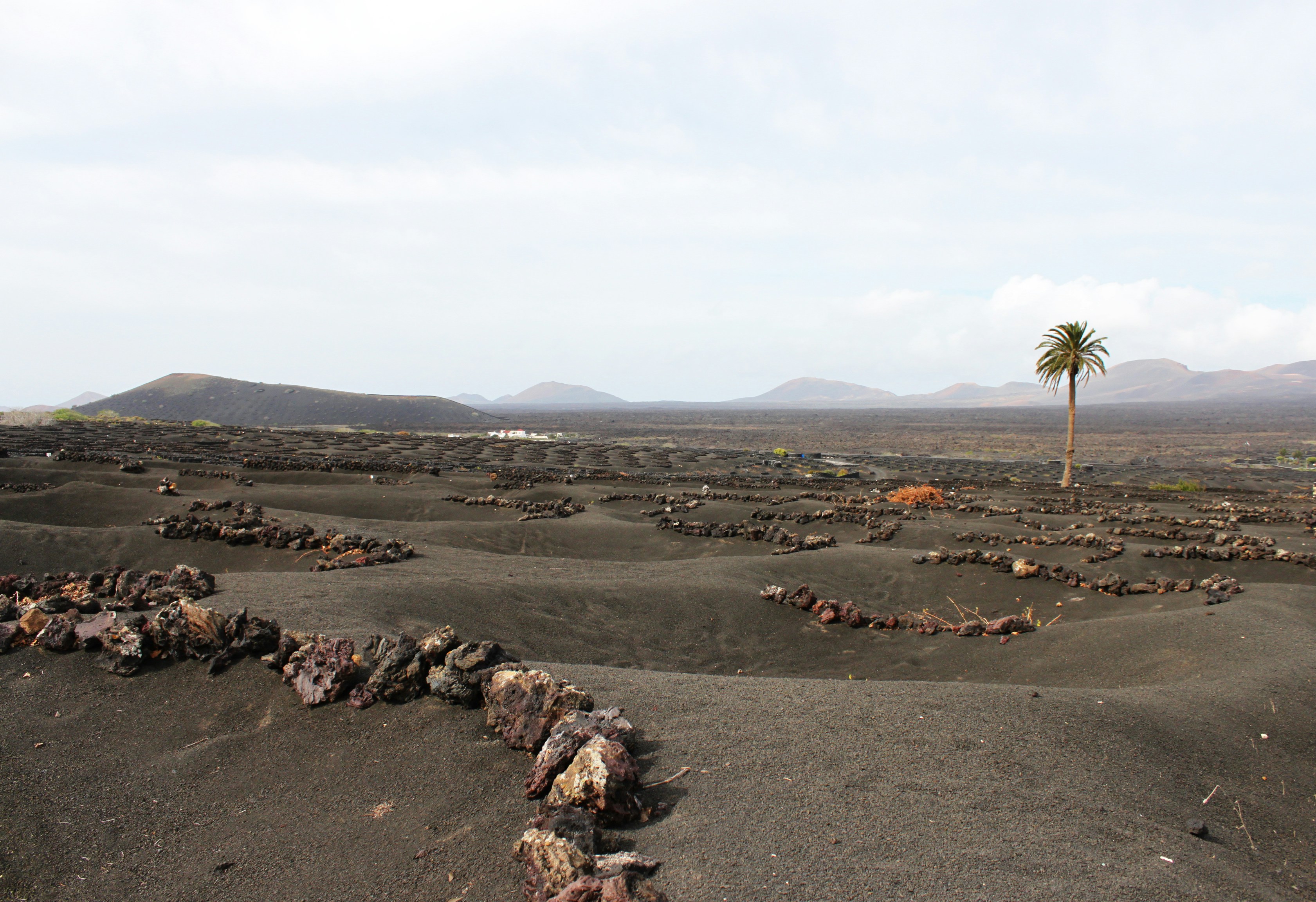 Photo by miguelbaixauli