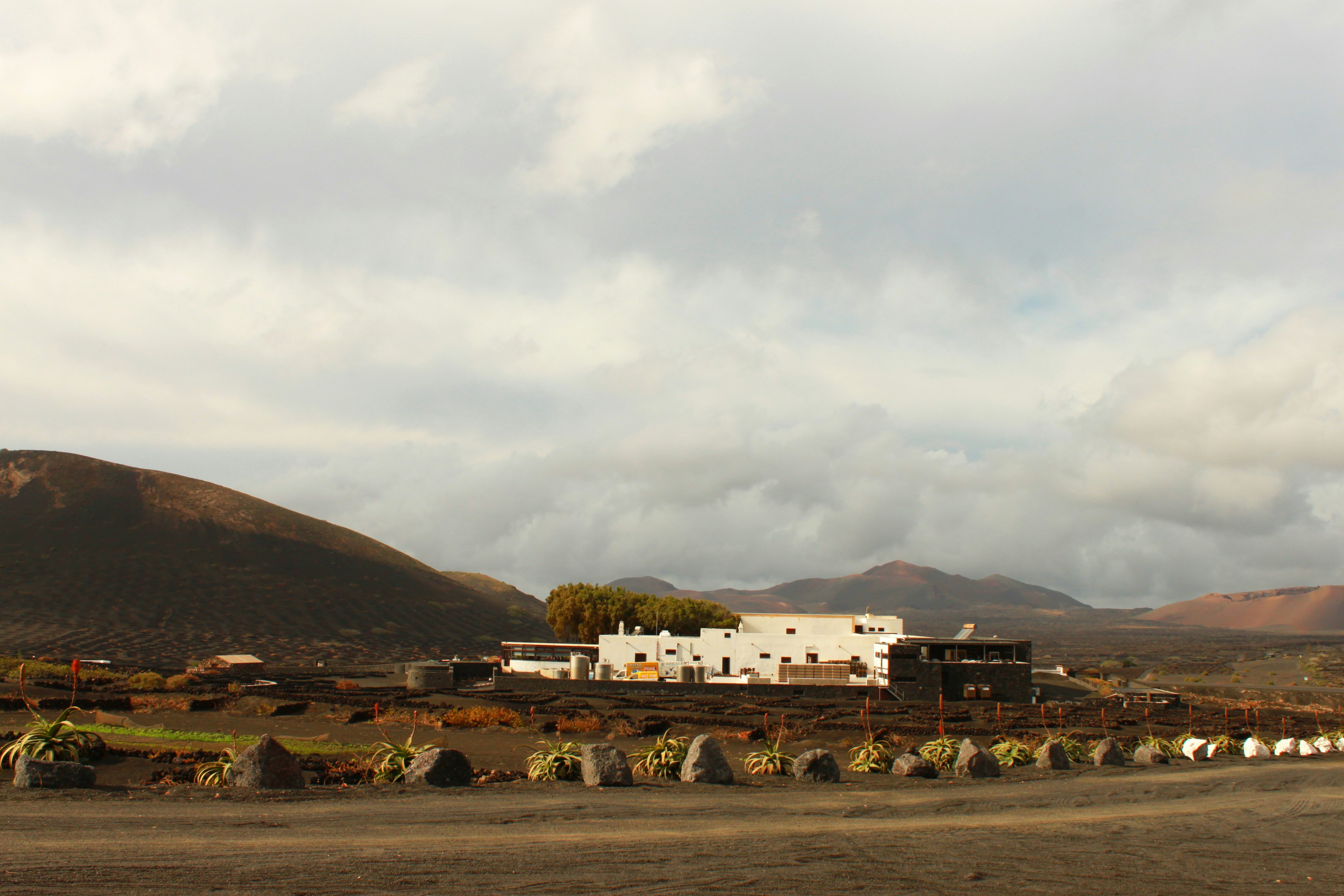 Photo by miguelbaixauli