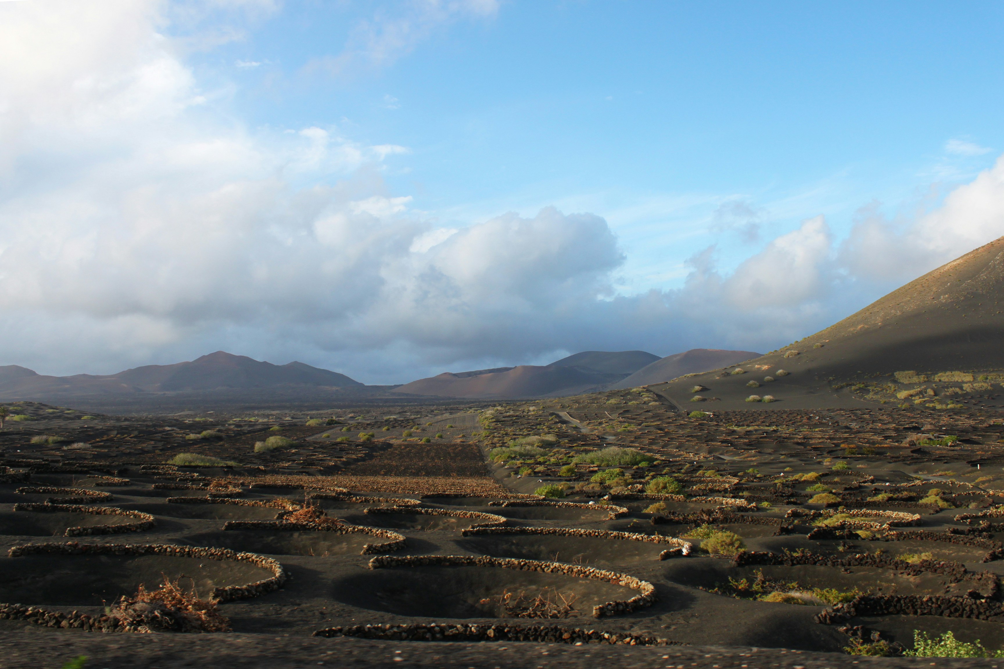 Photo by miguelbaixauli