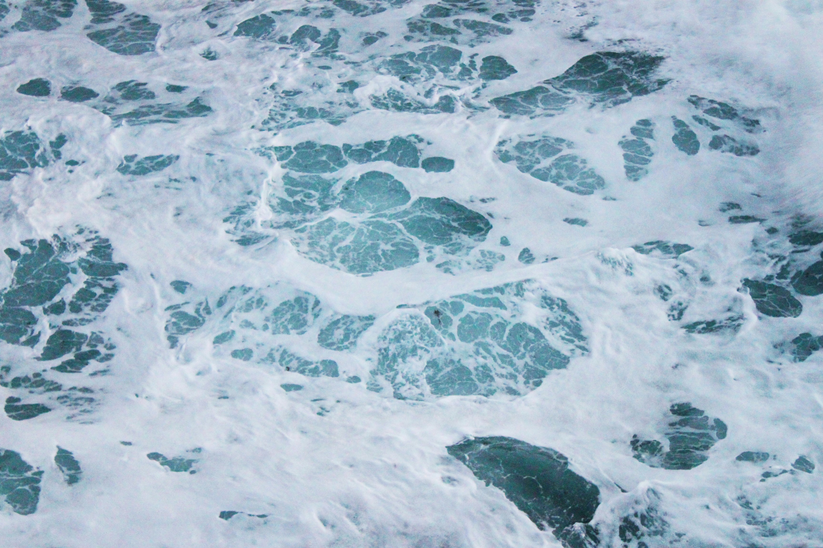 Photo by miguelbaixauli