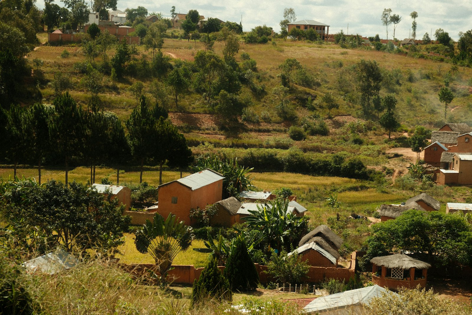 Royal Hill & Lemurs' Park — 1 Day, Antananarivo