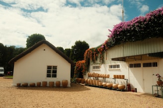 A house with a lot of barrels on the outside of it