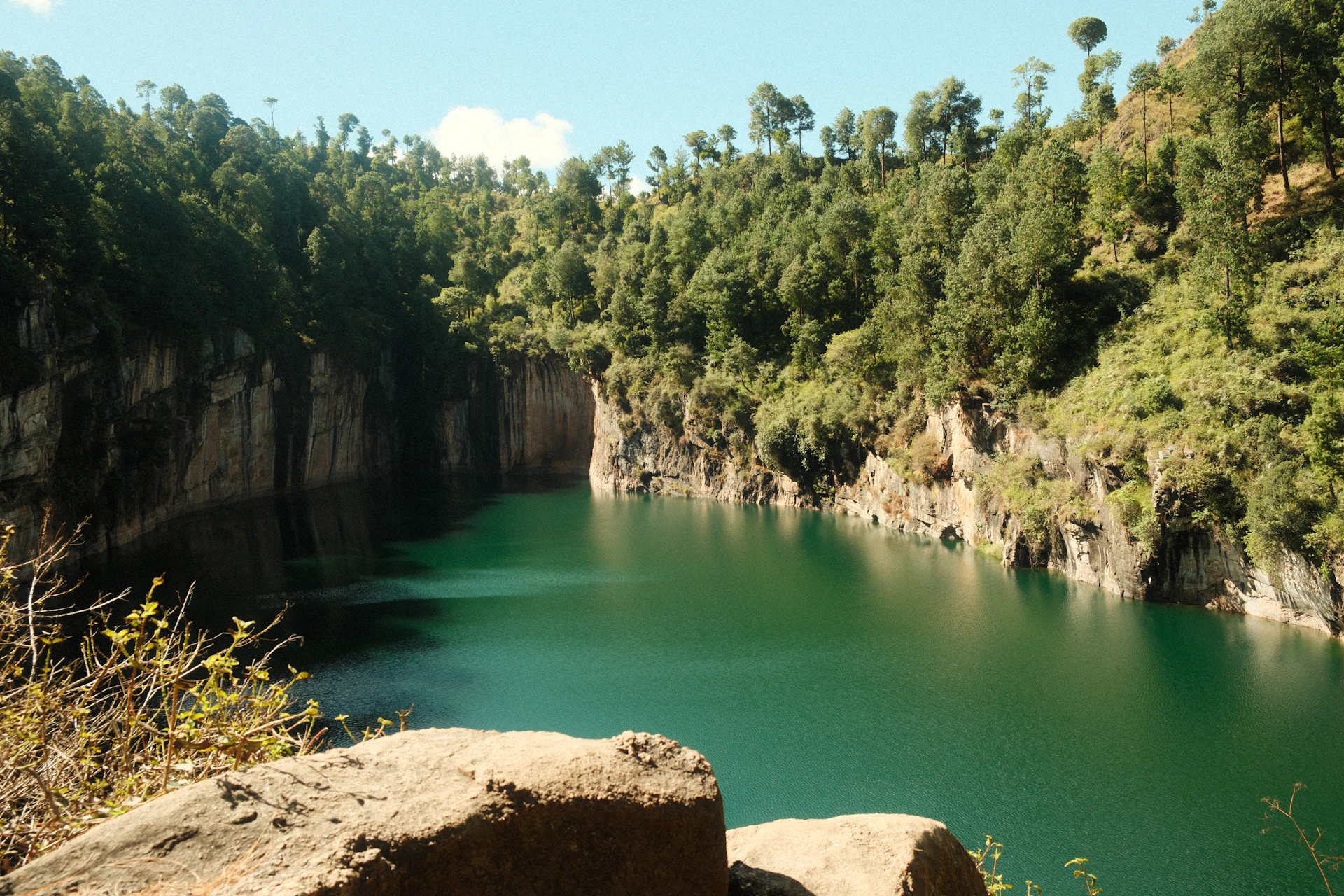 A large body of water surrounded by trees
