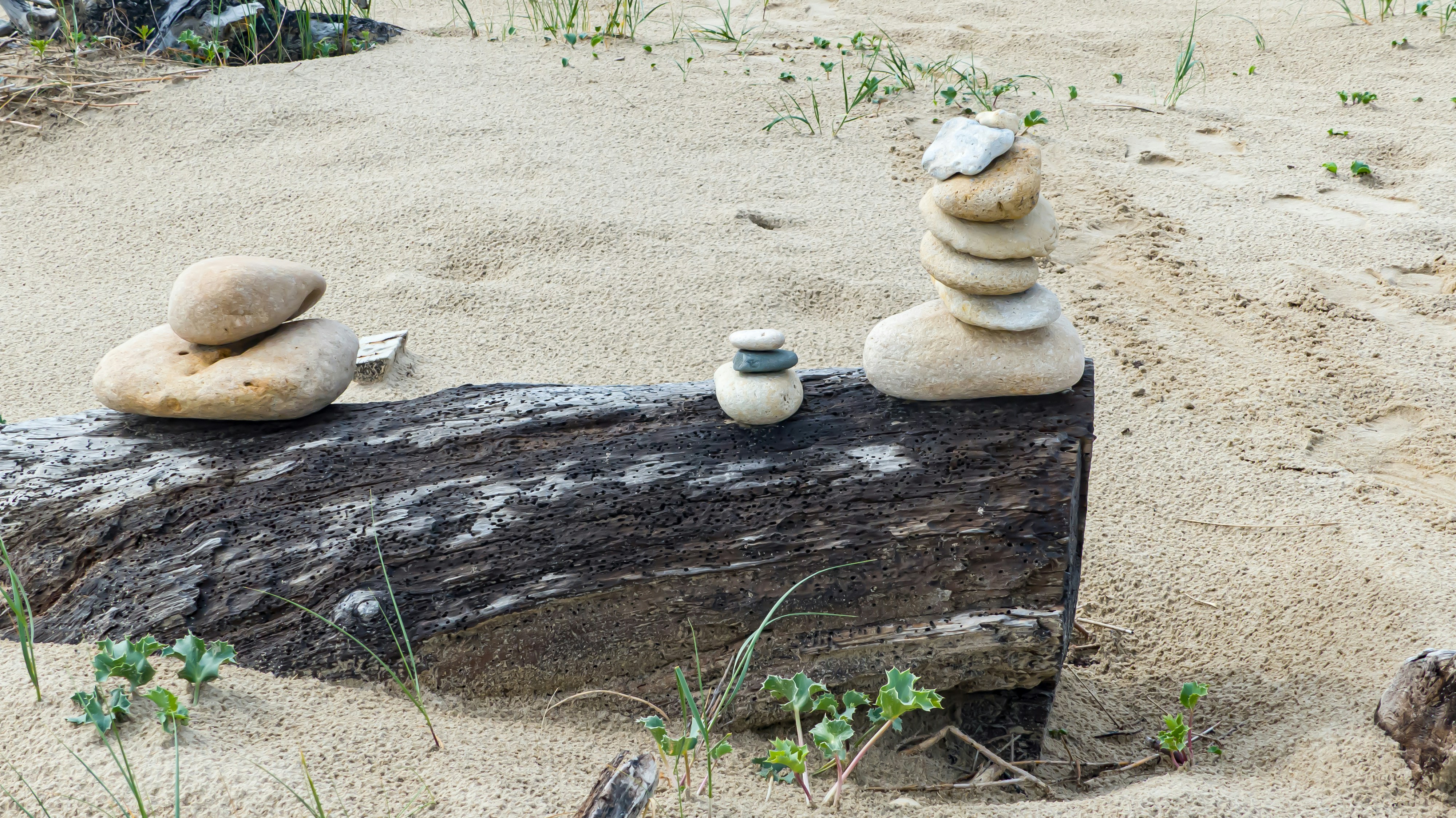 A pile of rocks sitting on top of a log photo – Free Méditation Image ...