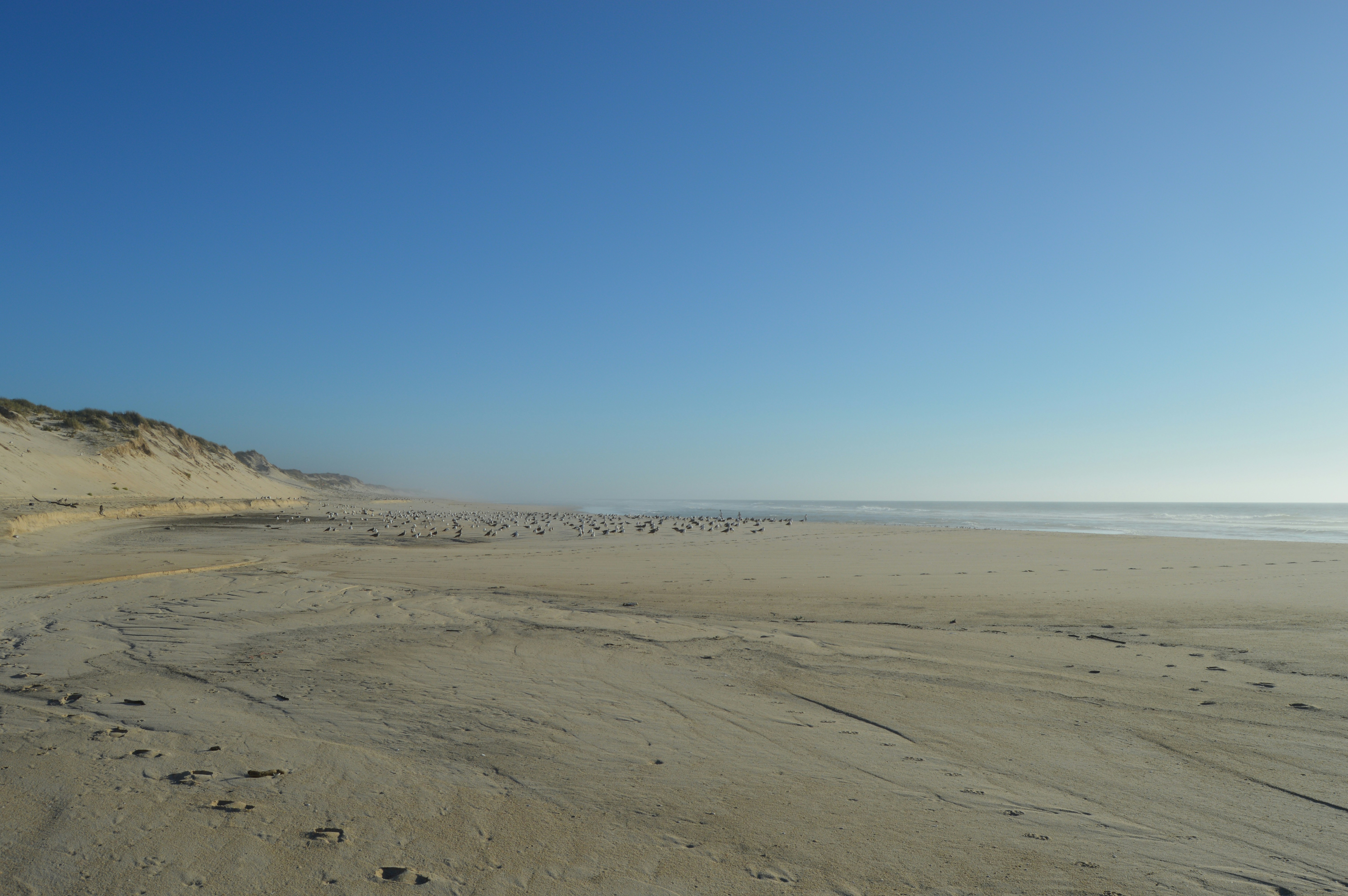 Photo by richardmultimedia