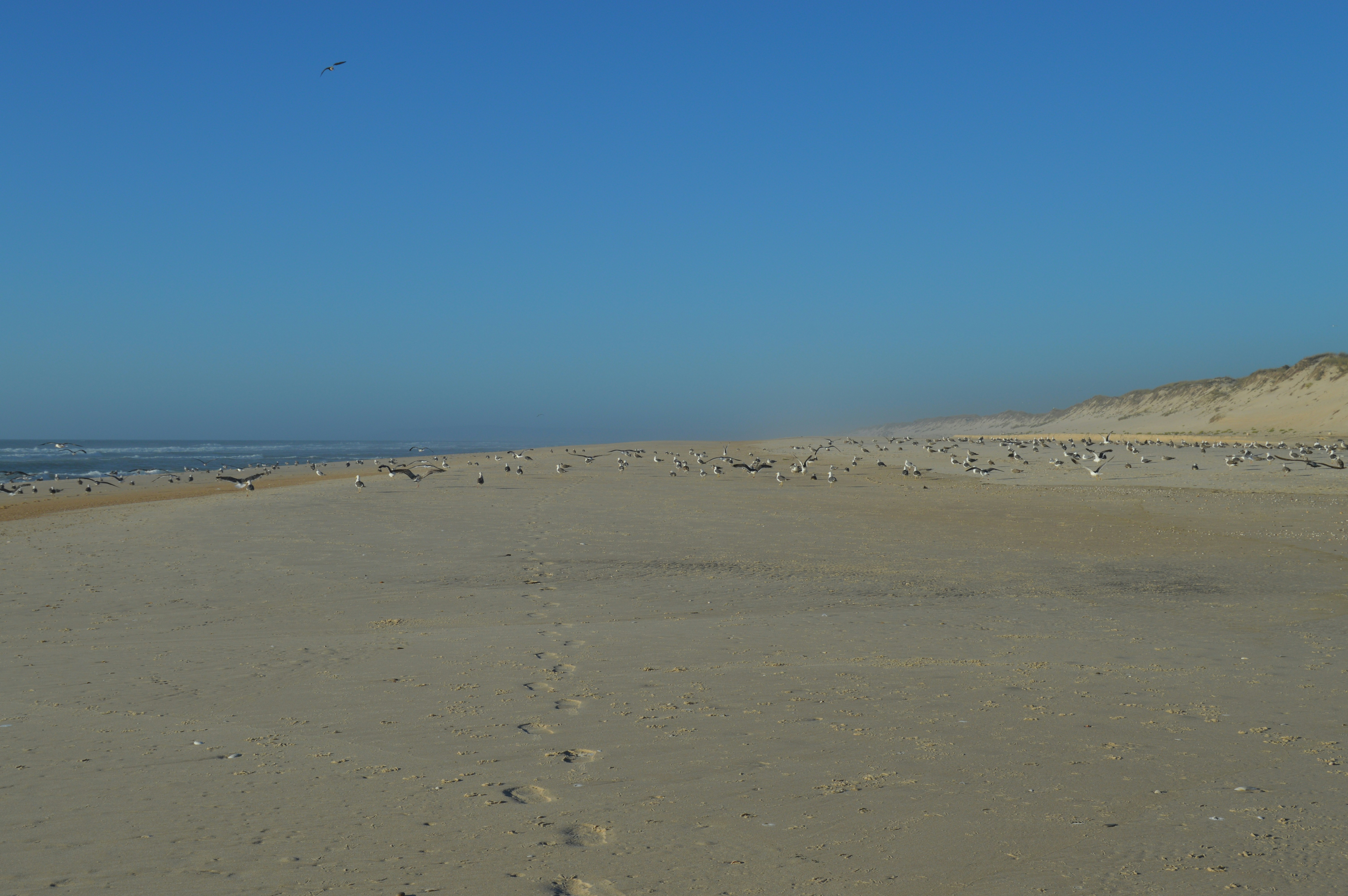 Photo by richardmultimedia