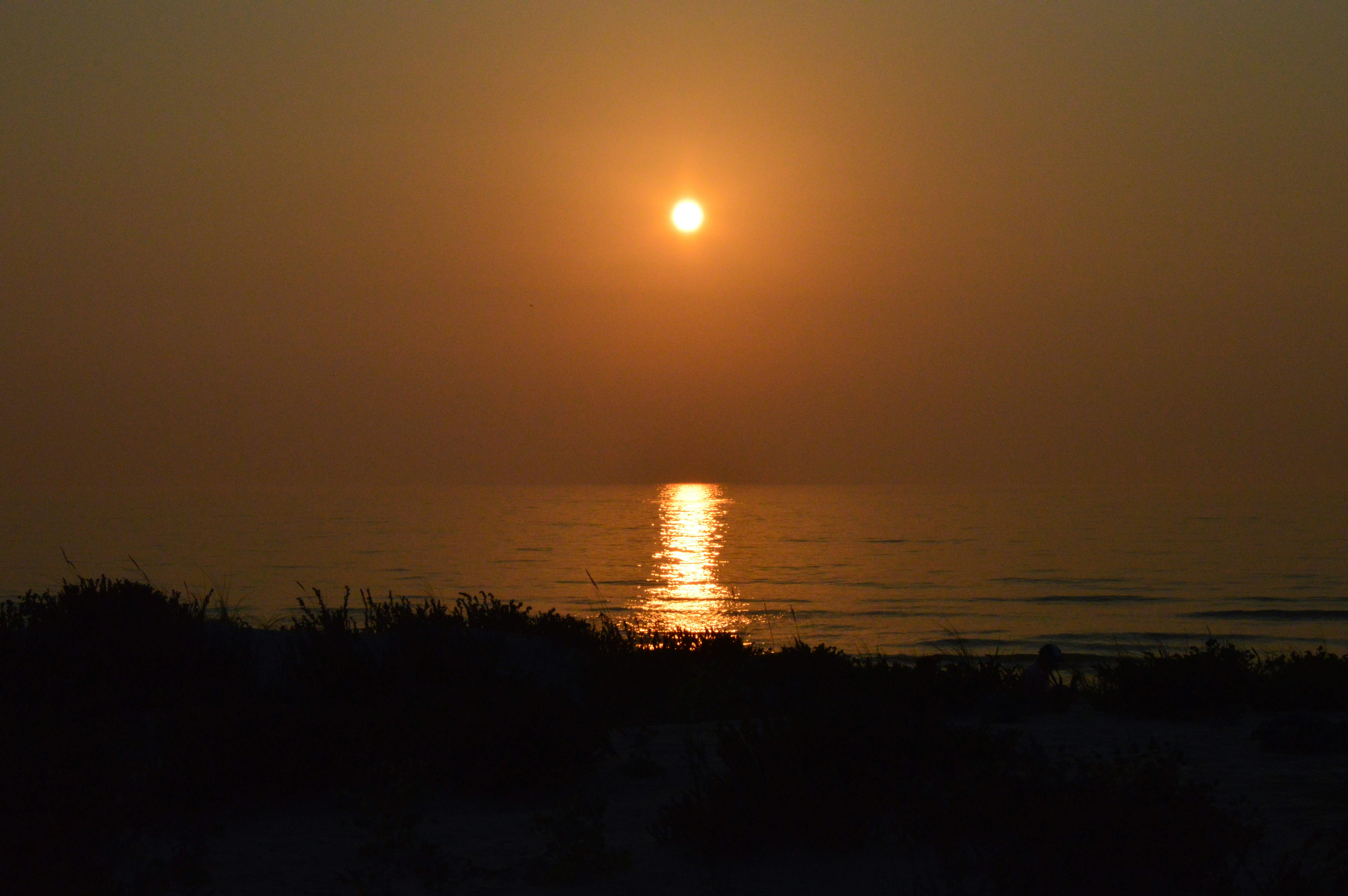 Photo by richardmultimedia