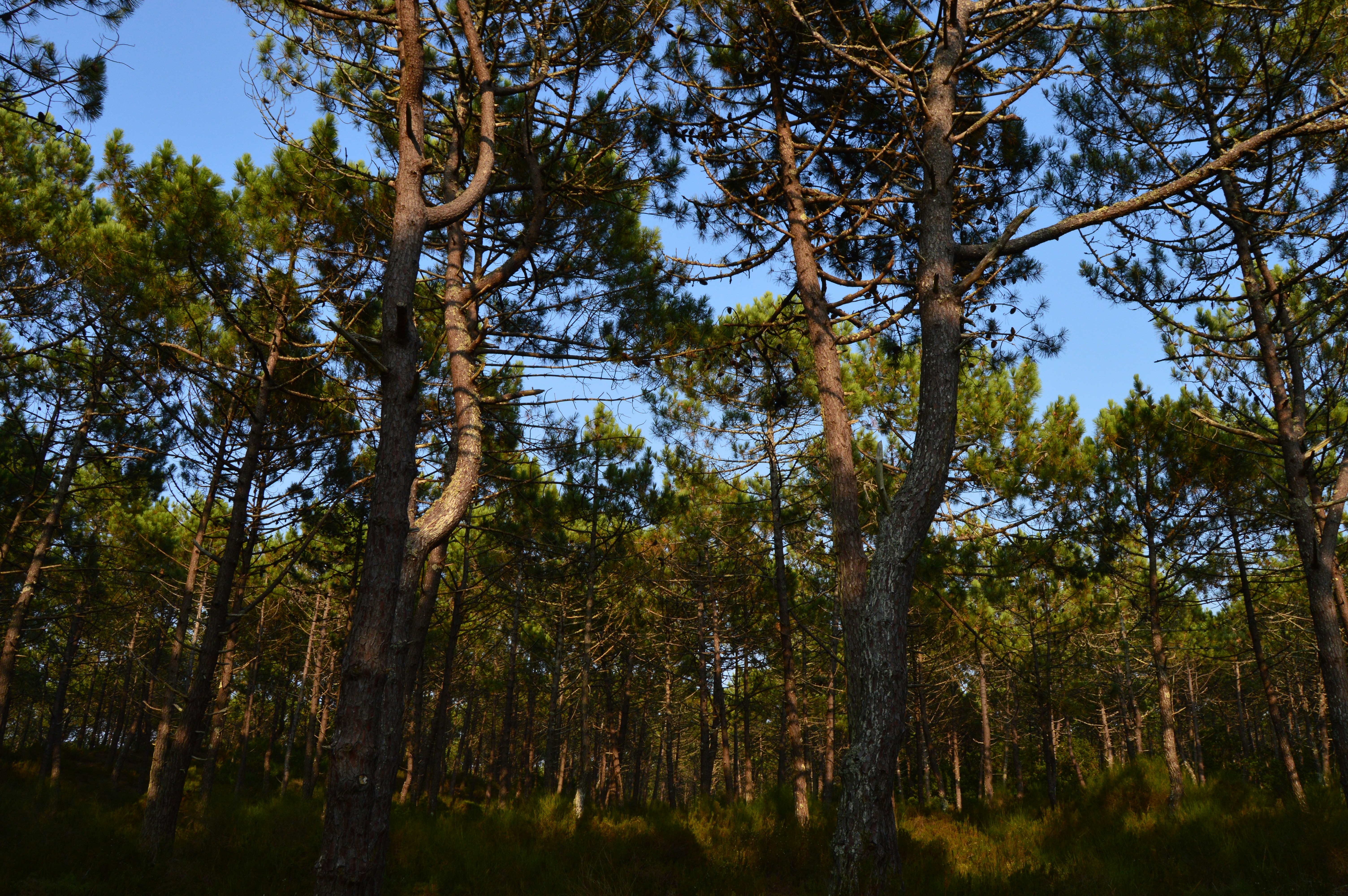 Photo by richardmultimedia