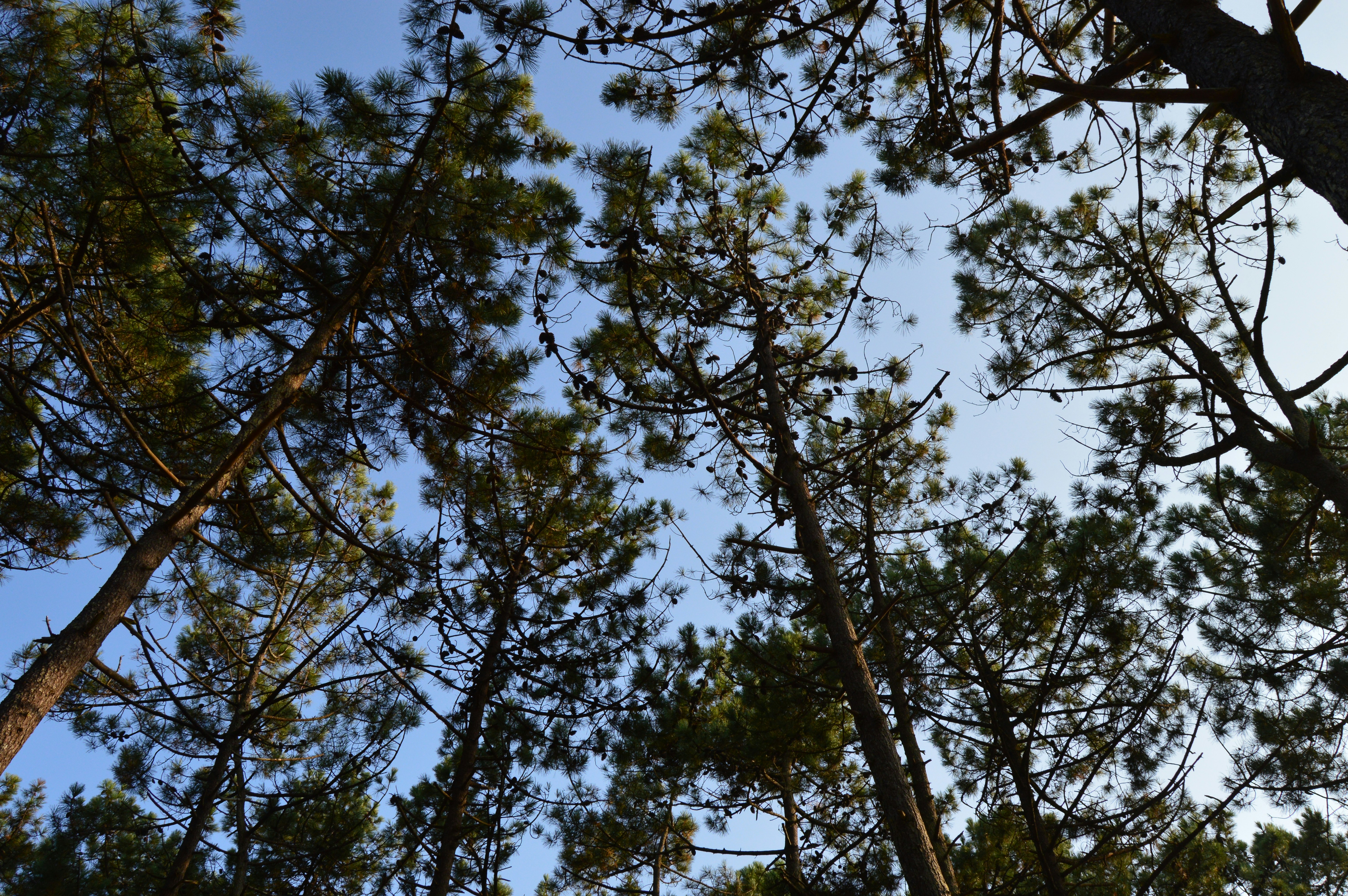 Photo by richardmultimedia