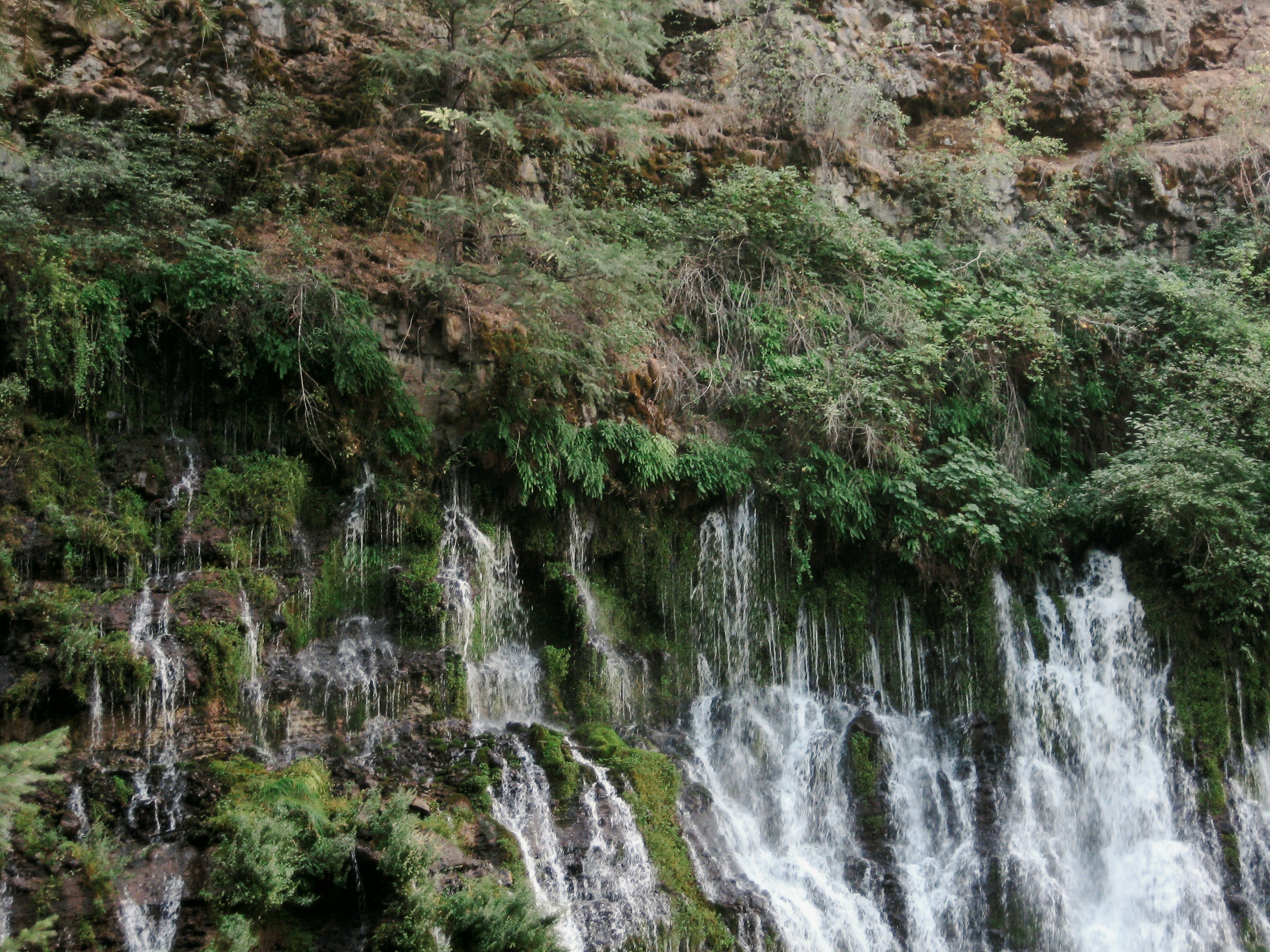 صورة المعرض