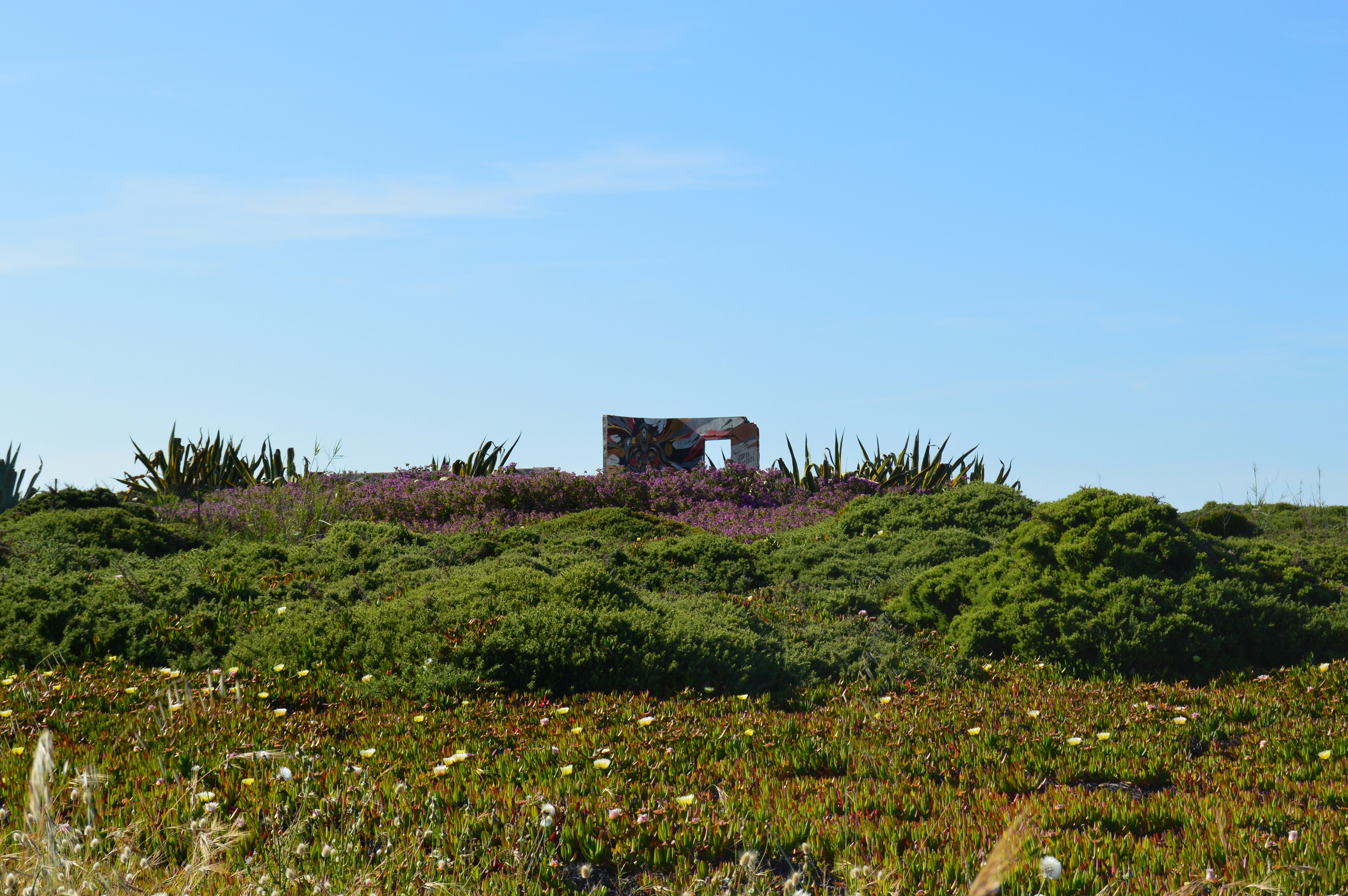 Photo by richardmultimedia