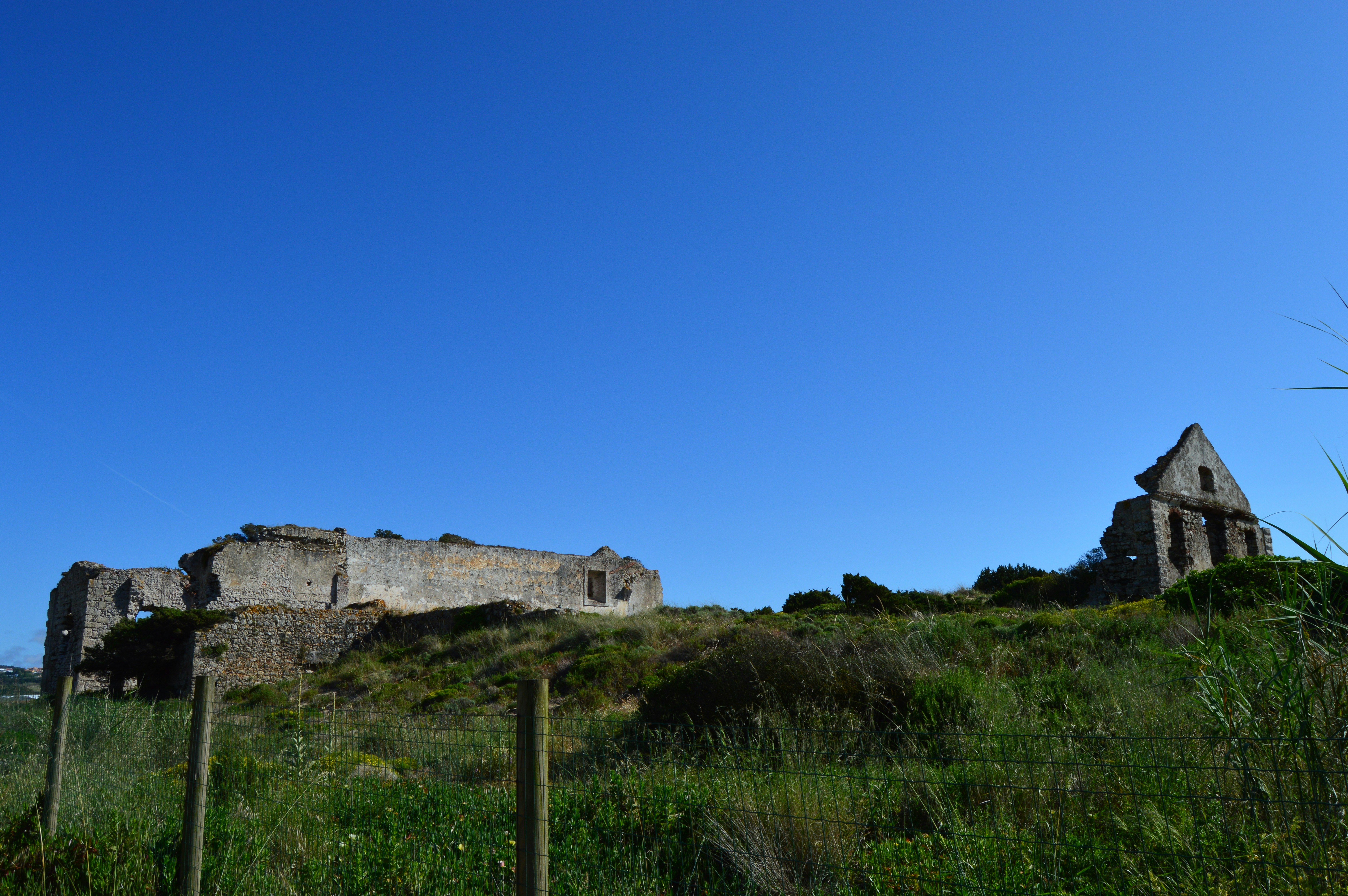 Photo by richardmultimedia