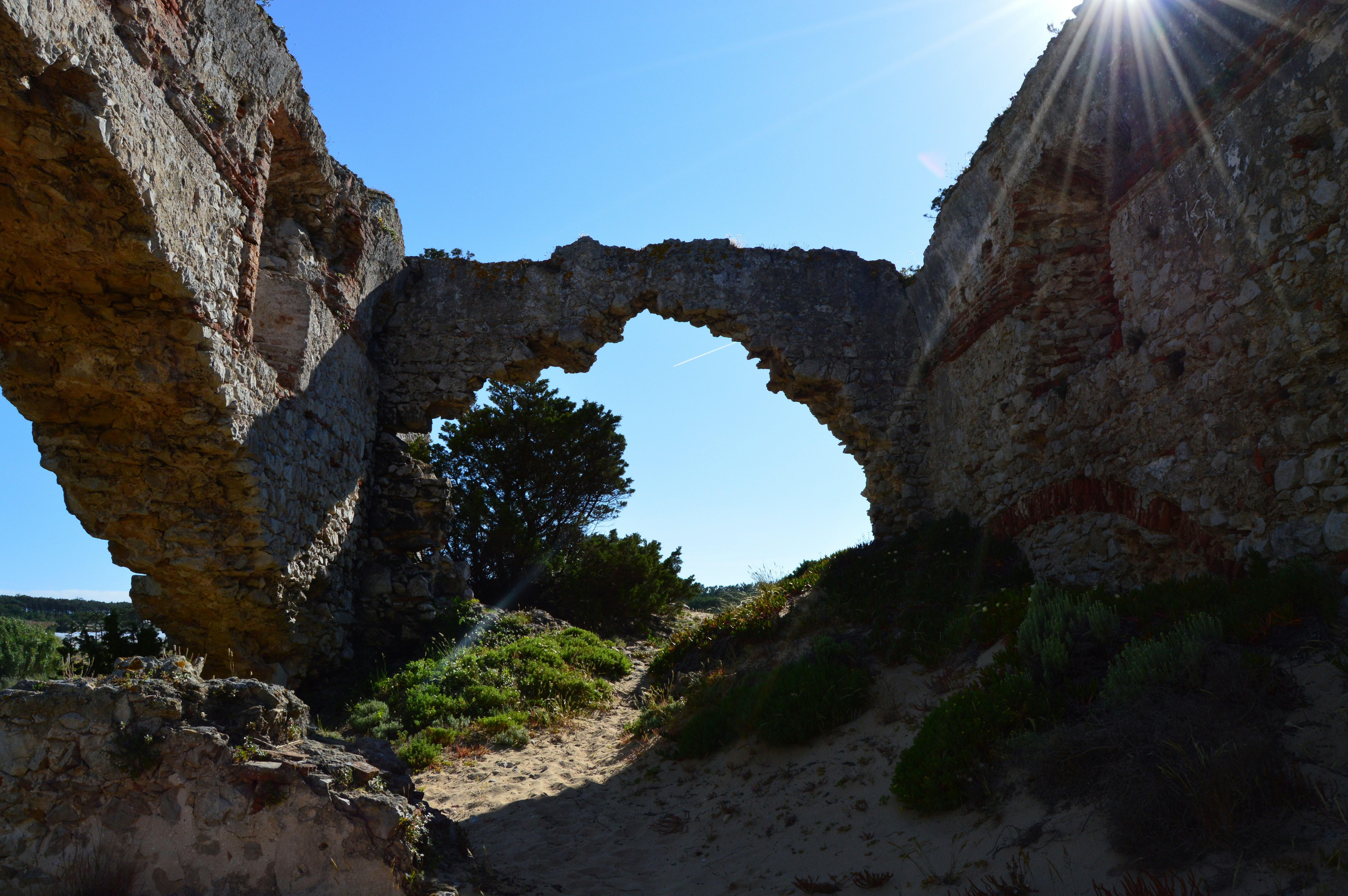 Photo by richardmultimedia