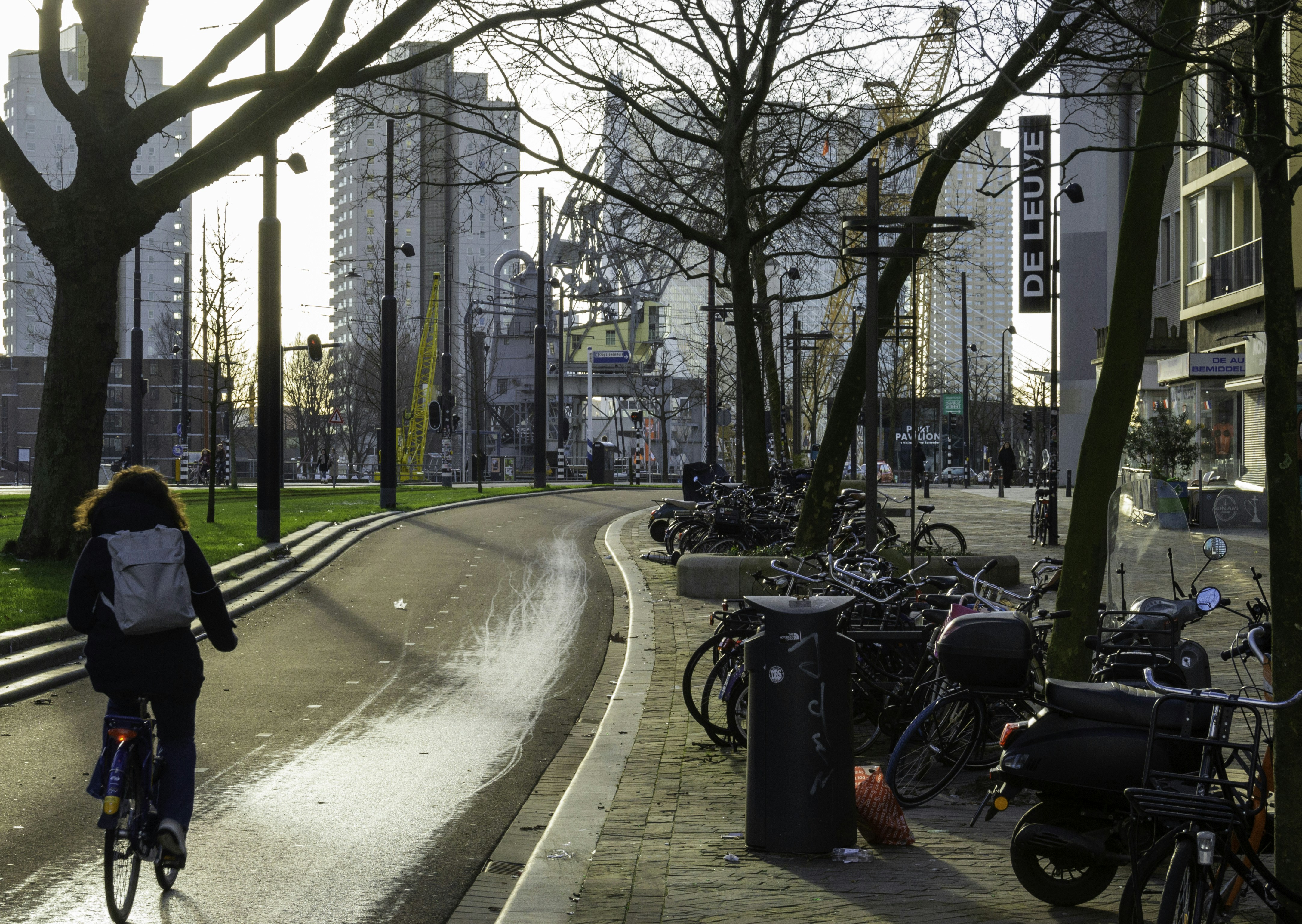 Afbeelding van Rotterdam