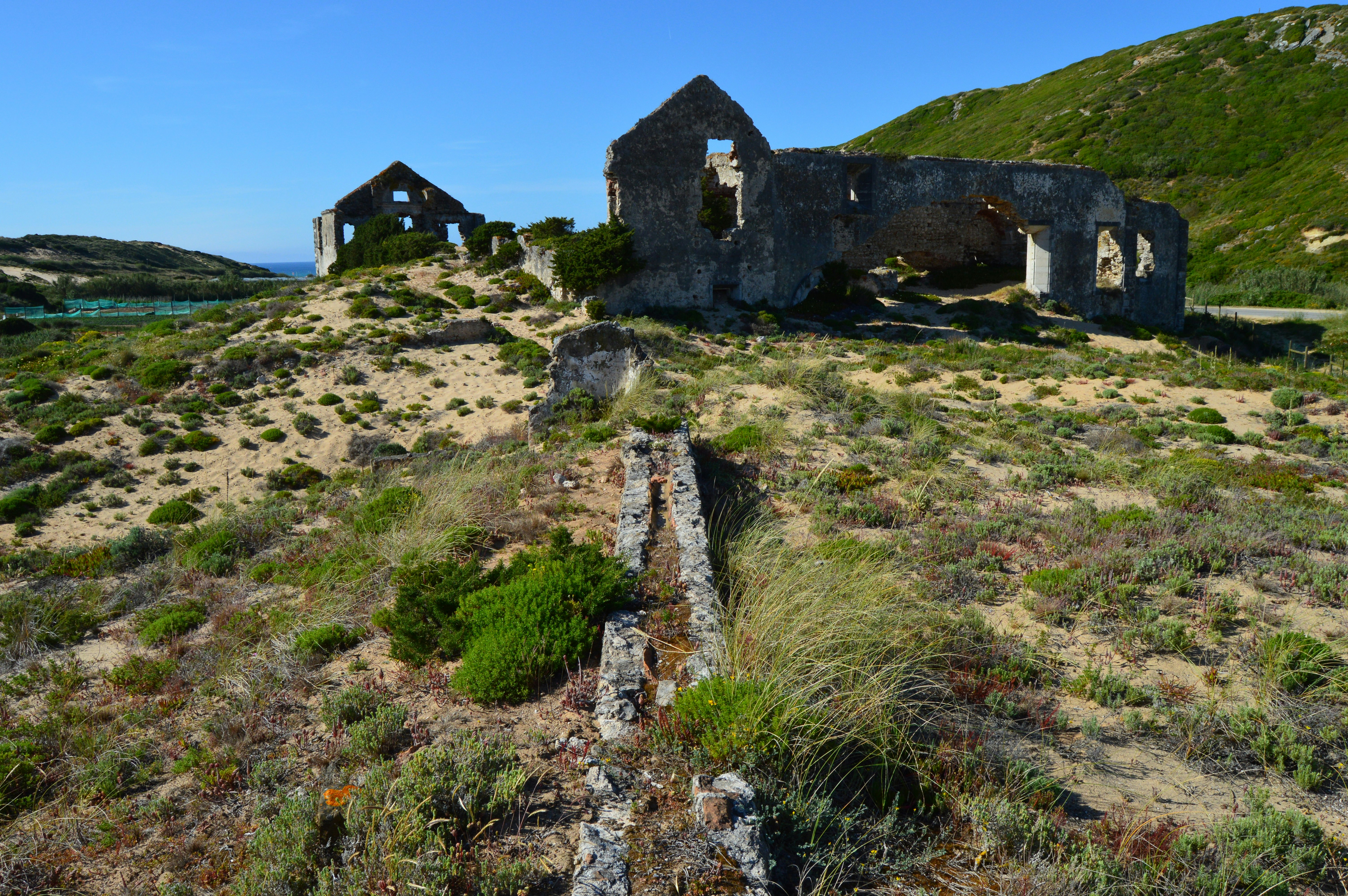 Photo by richardmultimedia