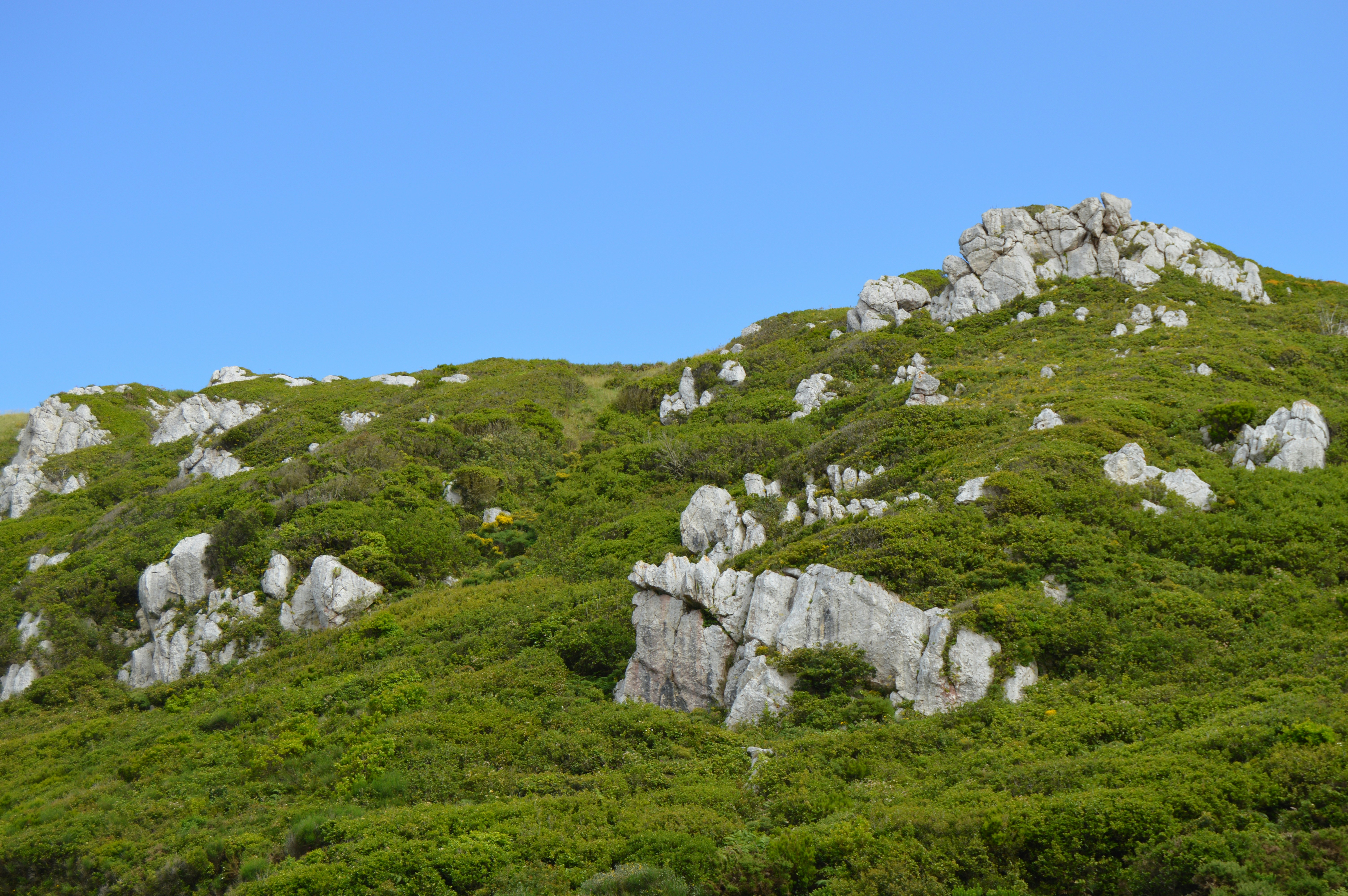 Photo by richardmultimedia