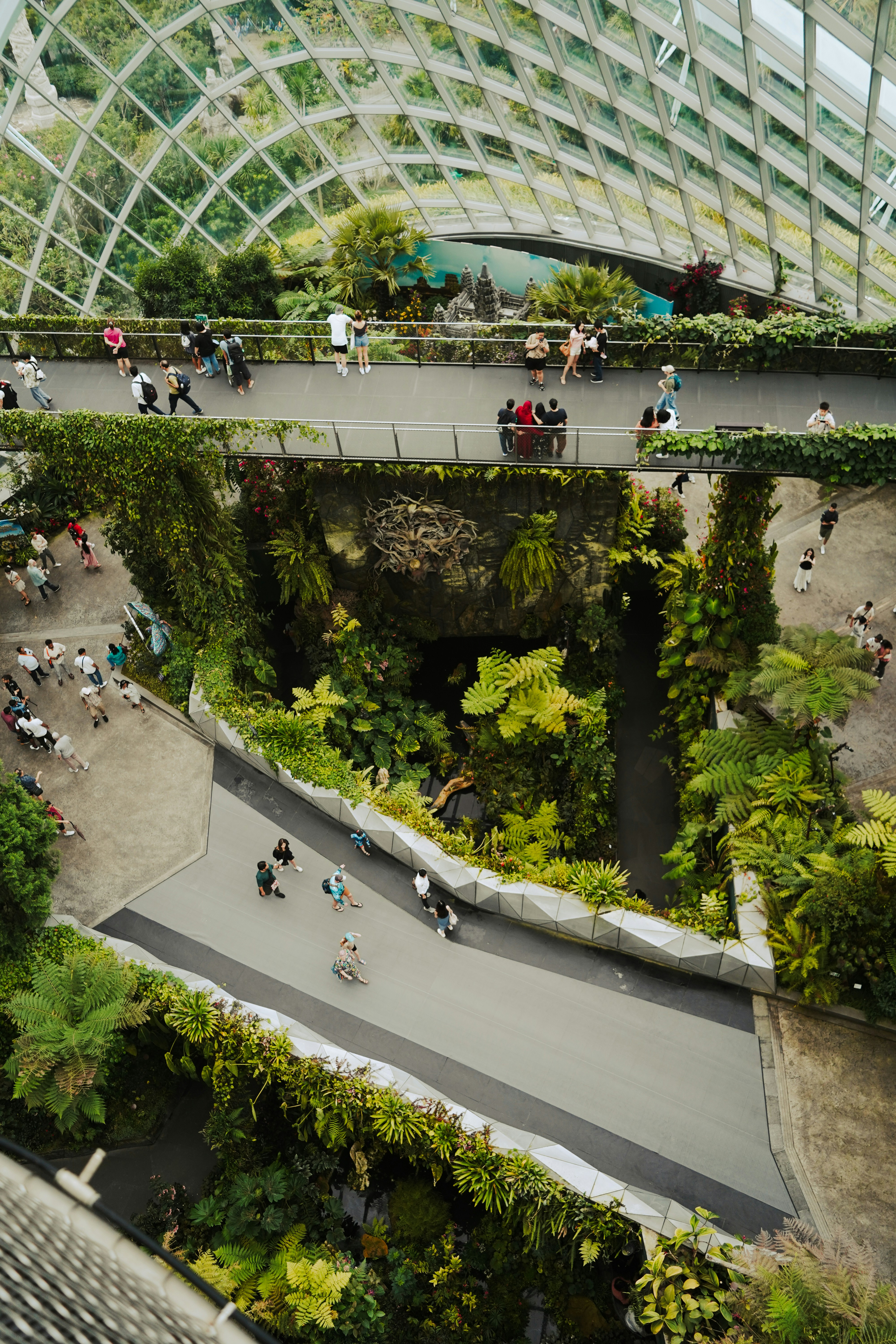 Um grupo de pessoas andando de bicicleta por uma rua