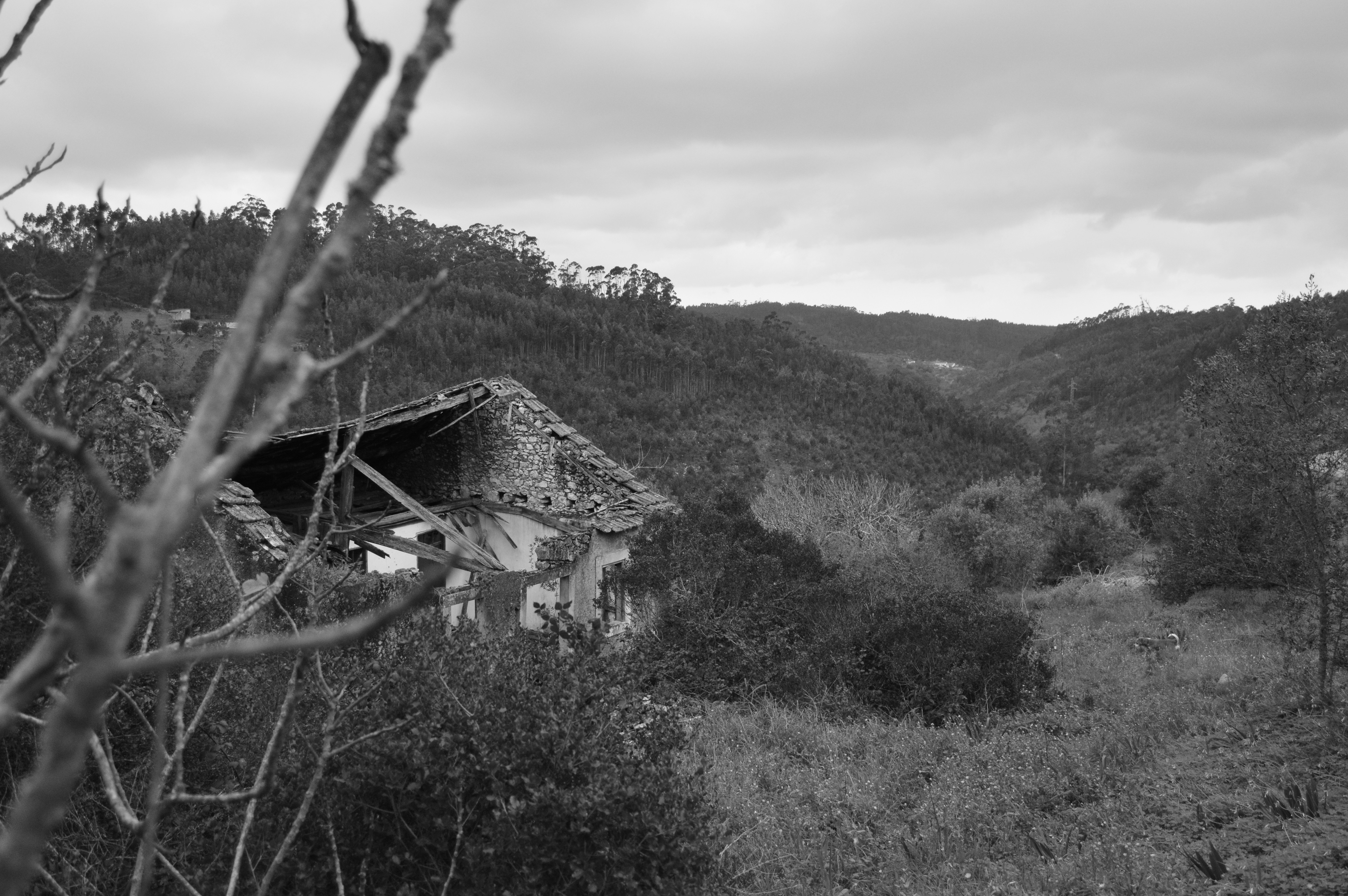 Photo by richardmultimedia