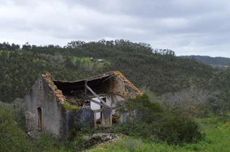 A run down house in the middle of a field