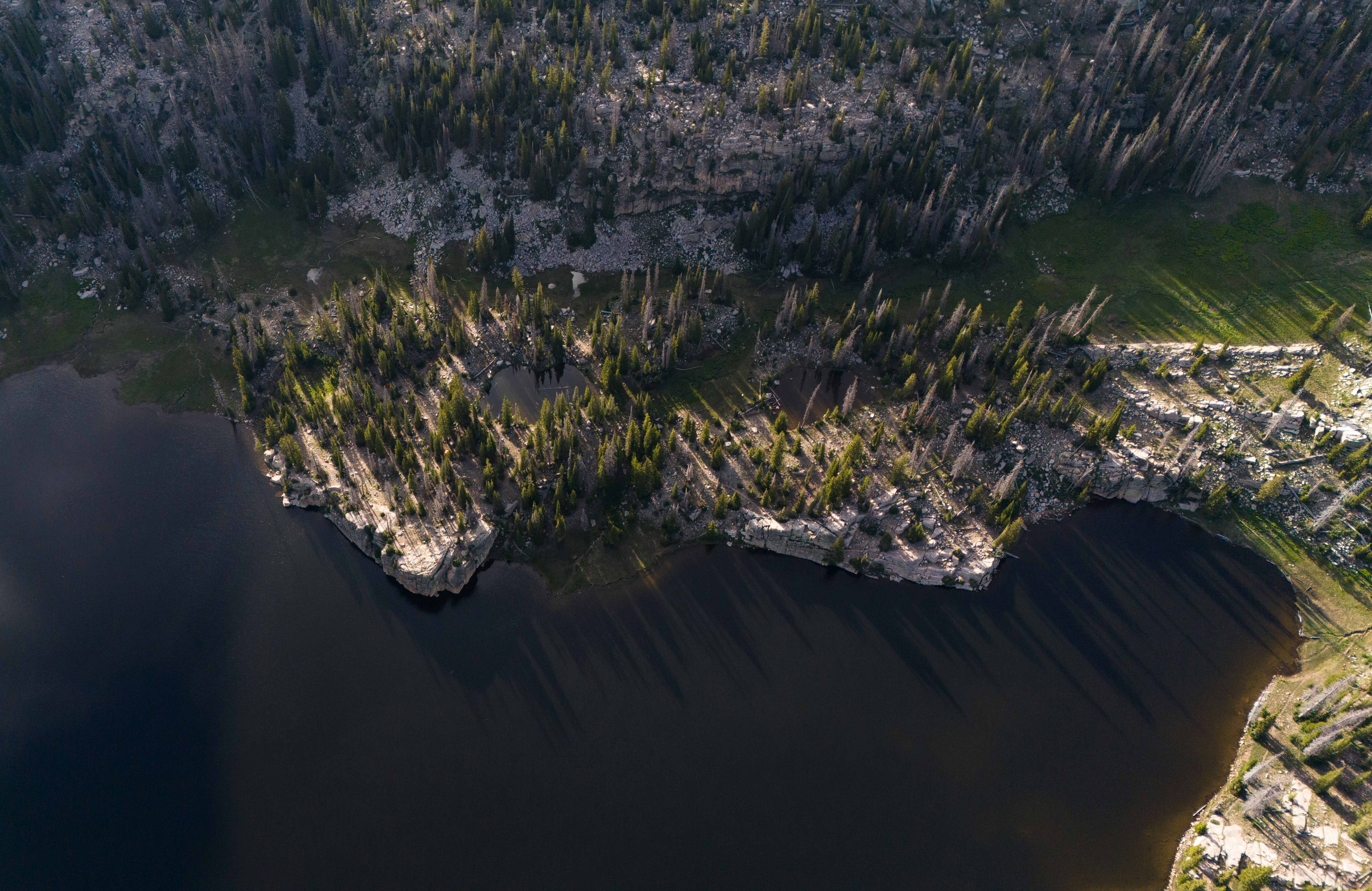 Photo by alexmoliski