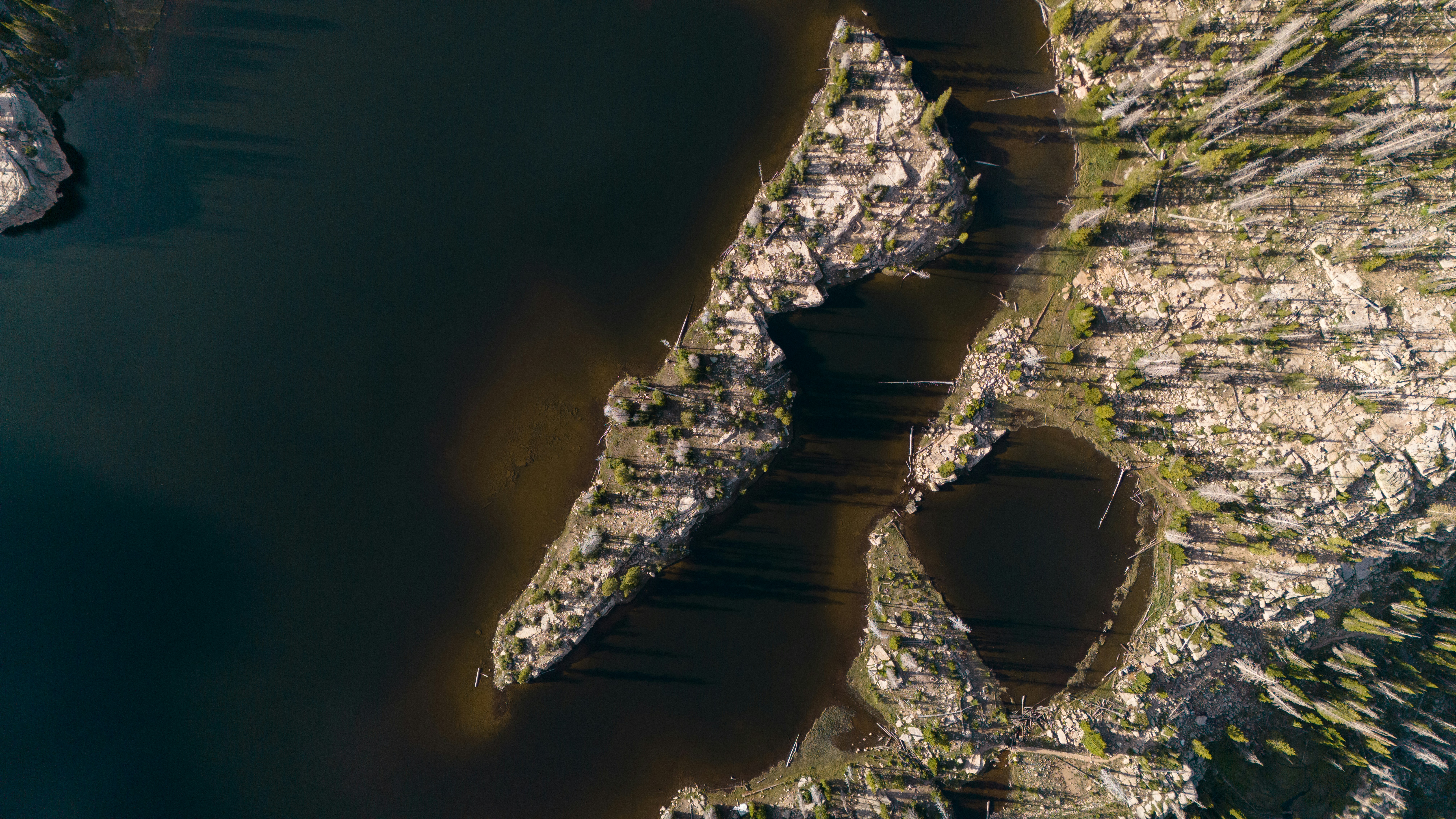 Photo by alexmoliski