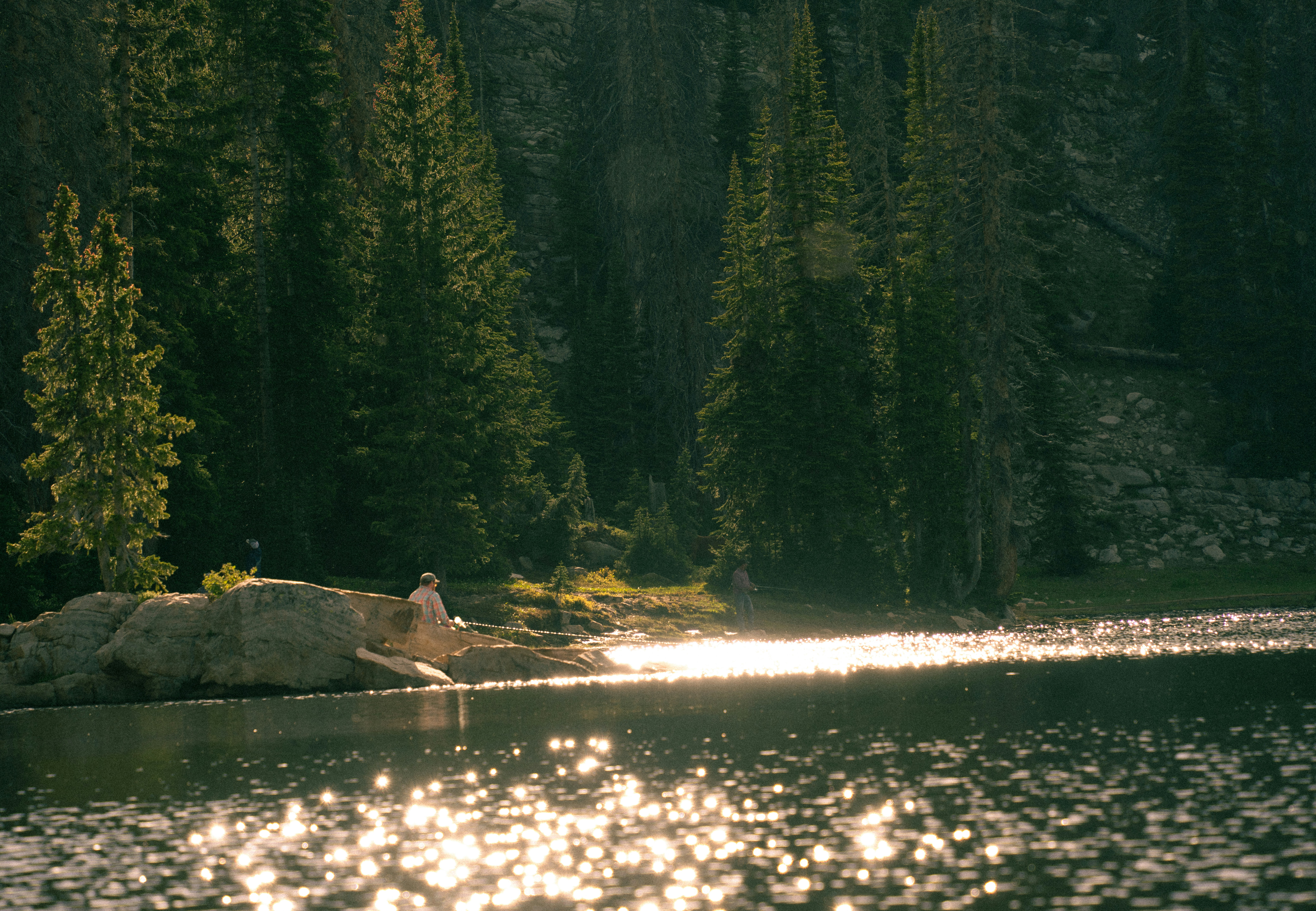 Photo by alexmoliski