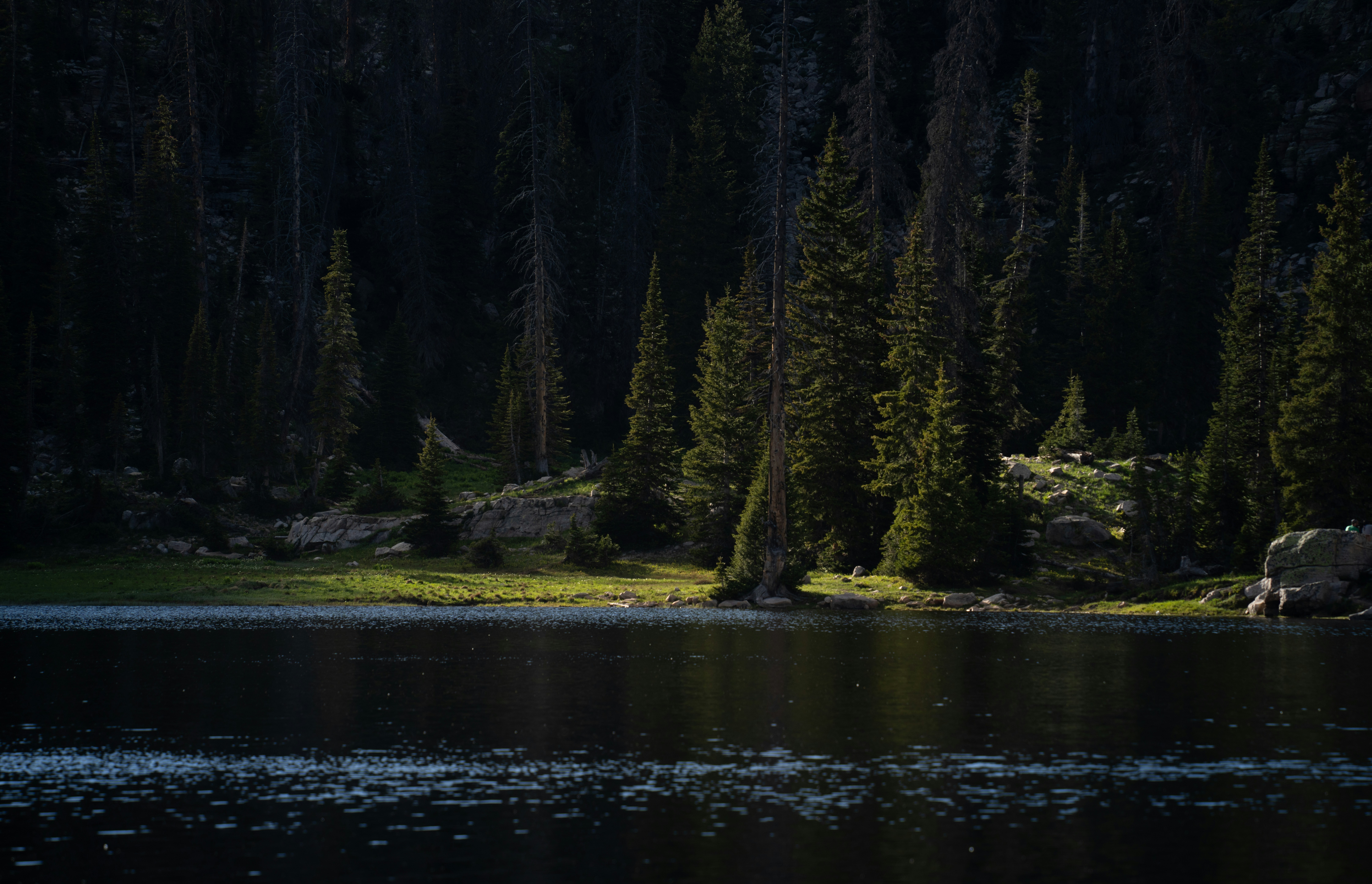 Photo by alexmoliski