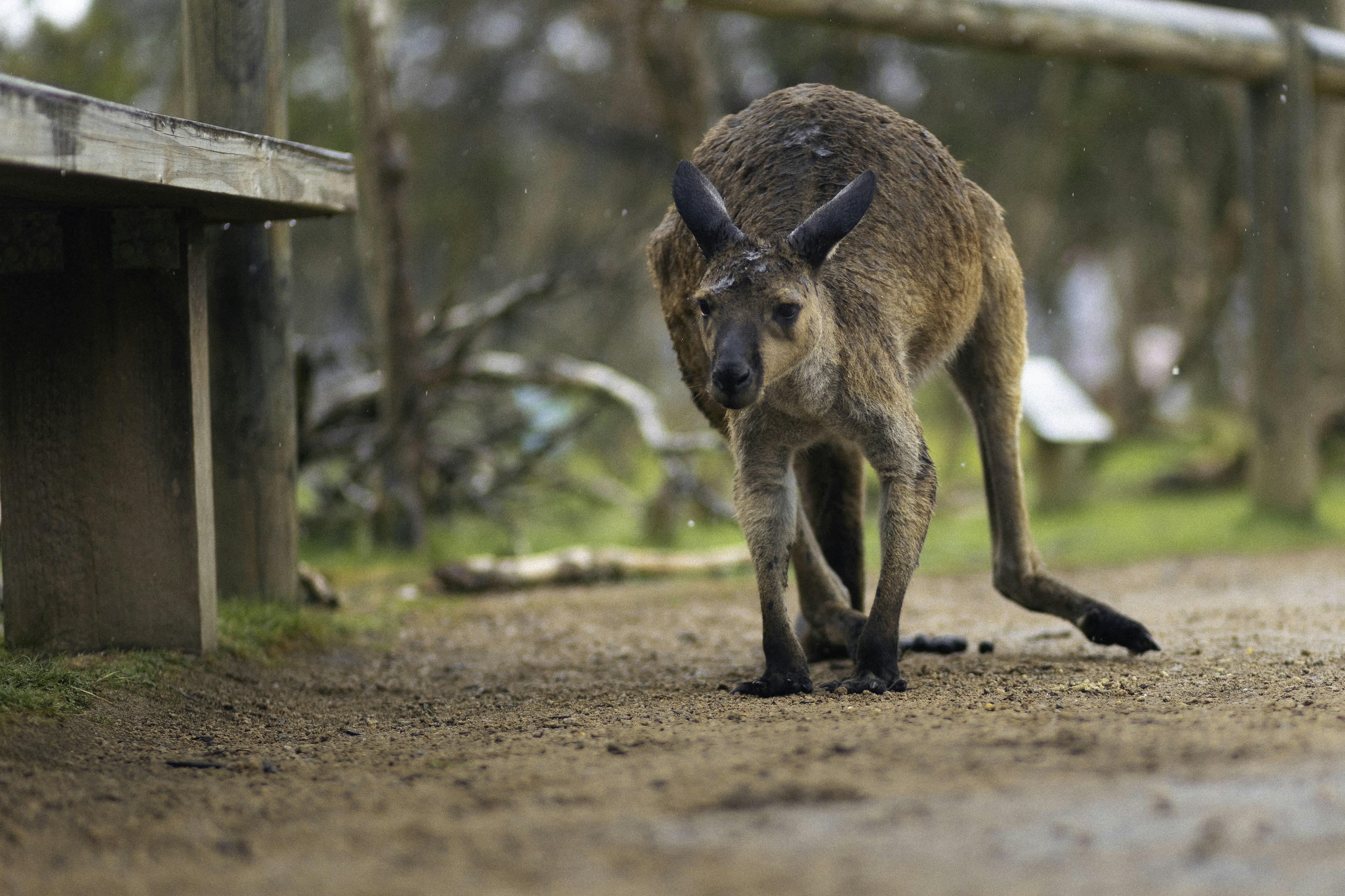 Photo by behindthetmuna