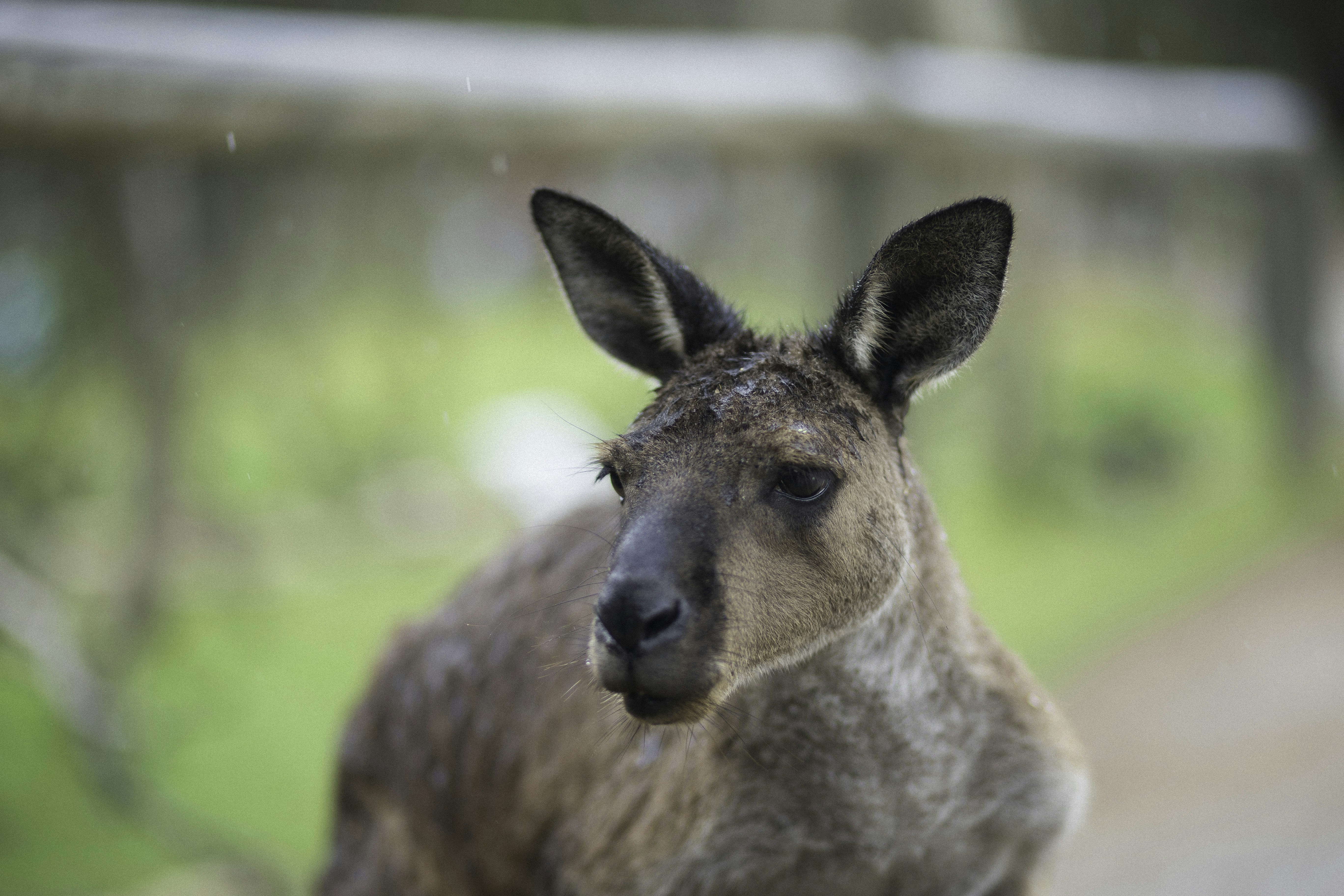 Photo by behindthetmuna