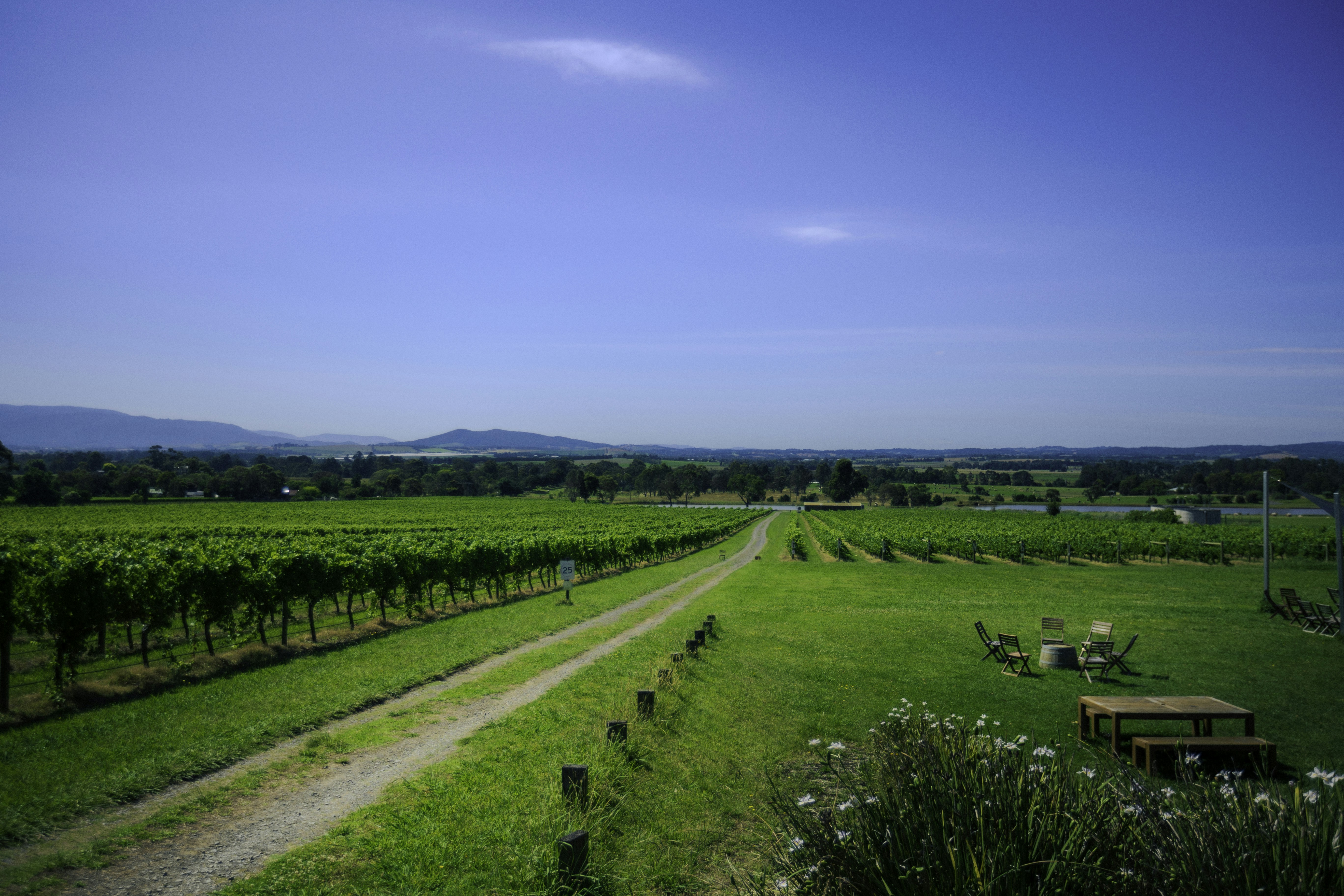 Photo by behindthetmuna