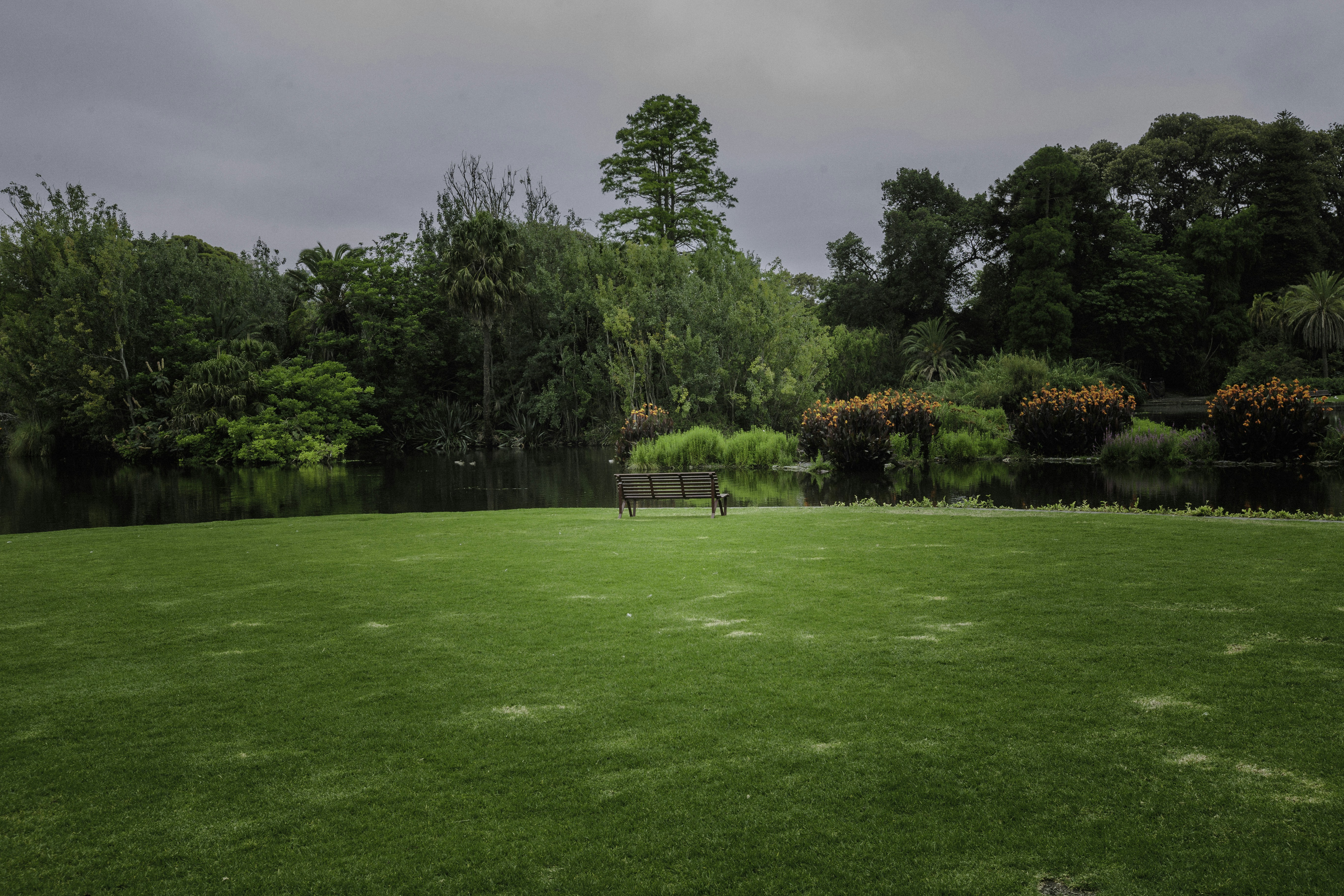 Photo by behindthetmuna