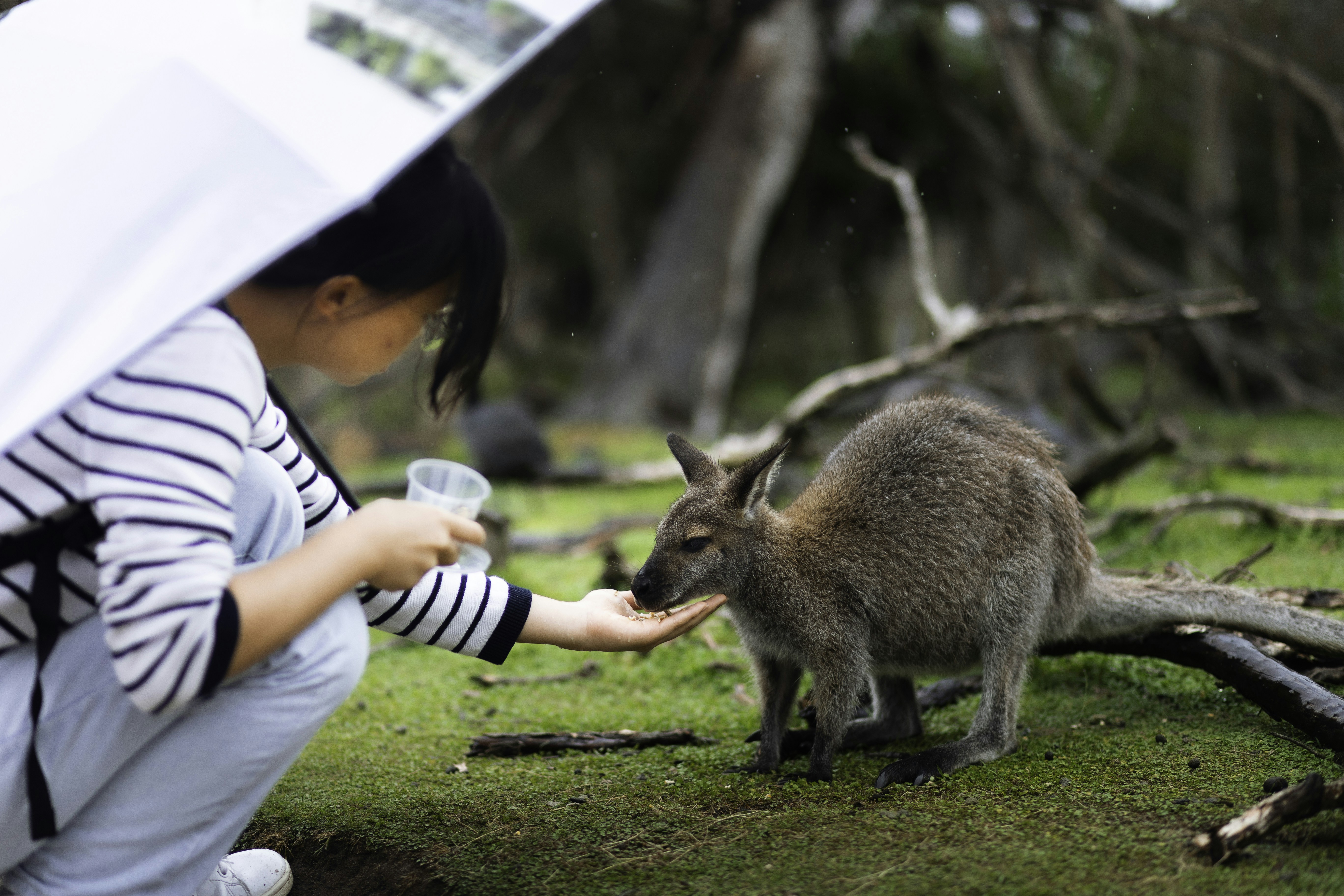Primary students engaged in hands-on wildlife education at a sanctuary - Brisbane school excursions